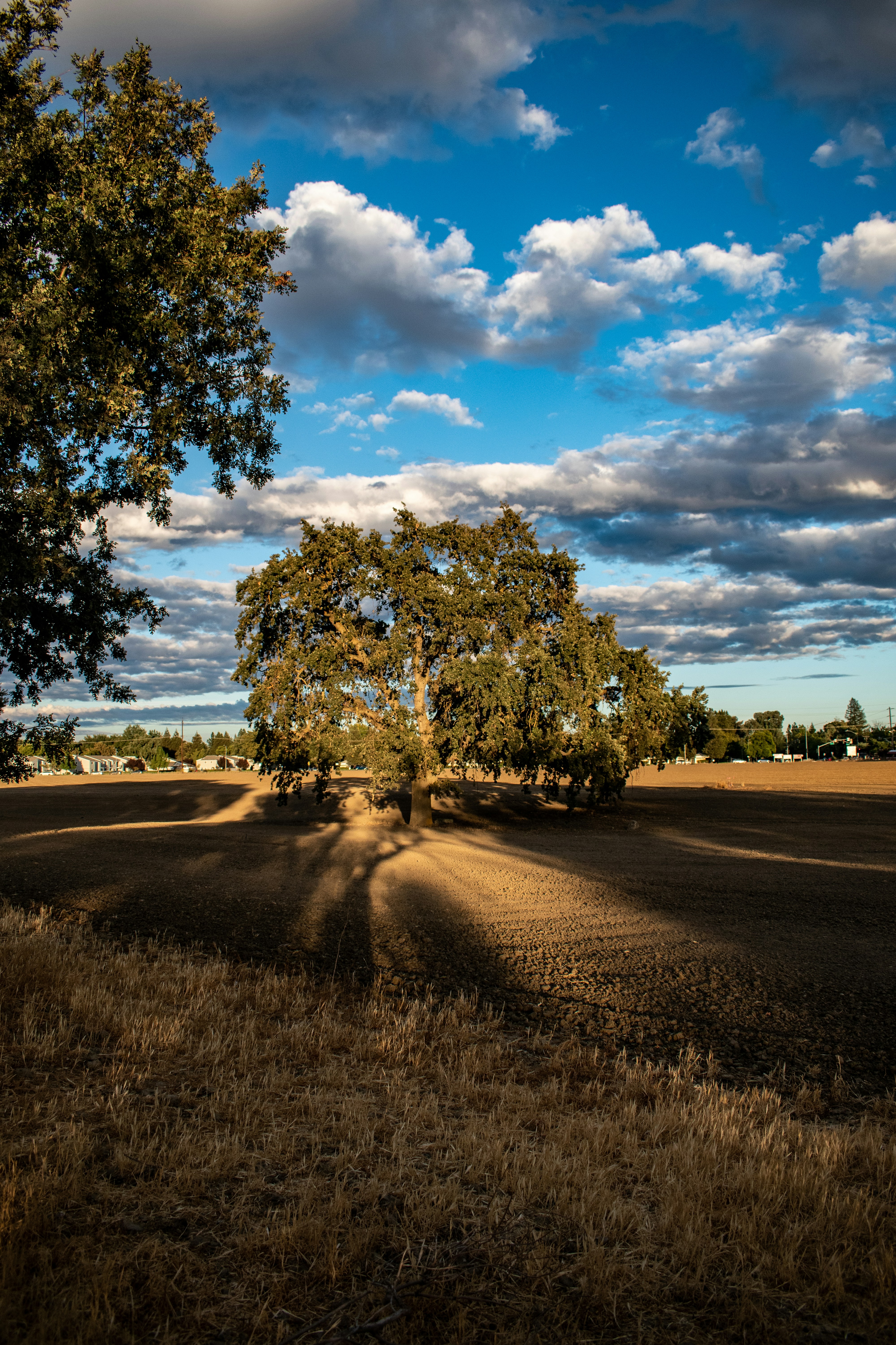 Photo by elisastonephotography