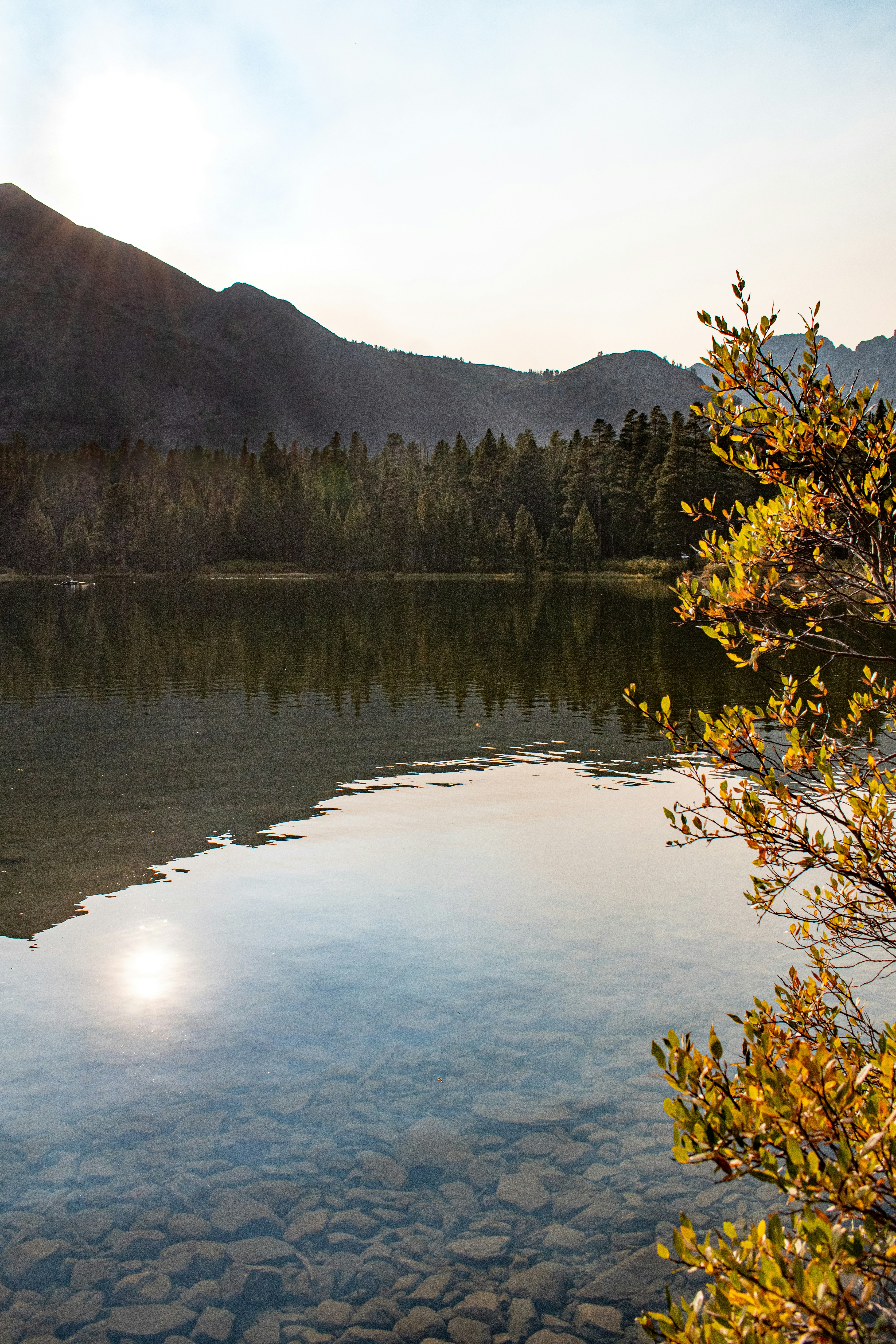 Photo by elisastonephotography