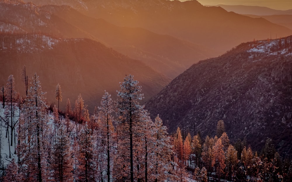 the sun is setting over the mountains and trees