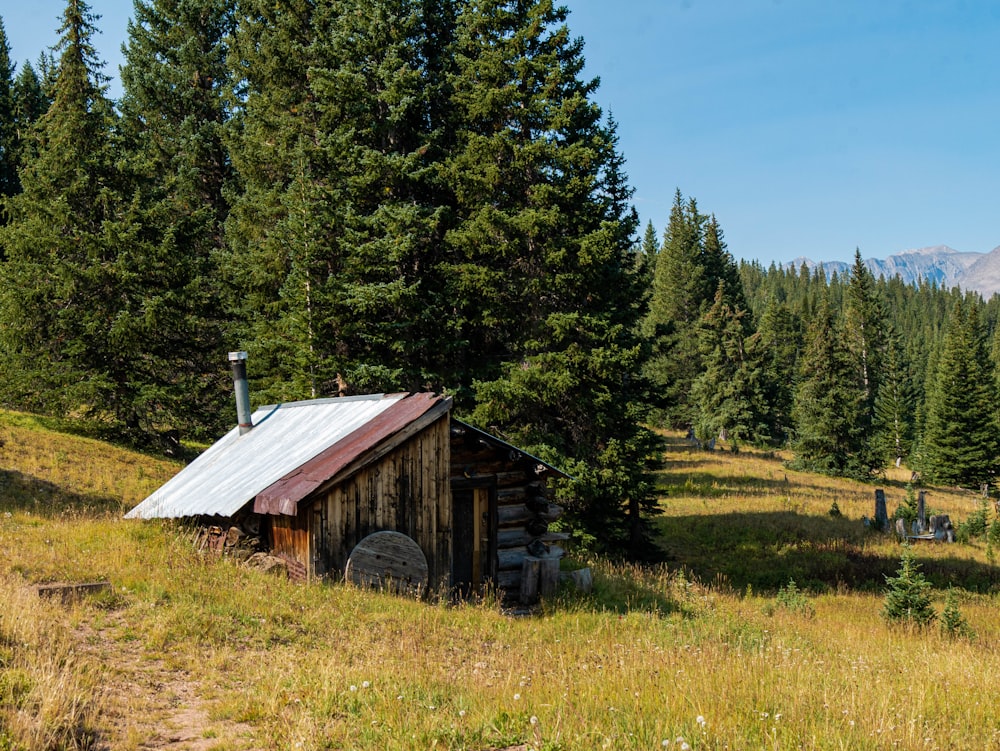 a small cabin in the middle of a forest