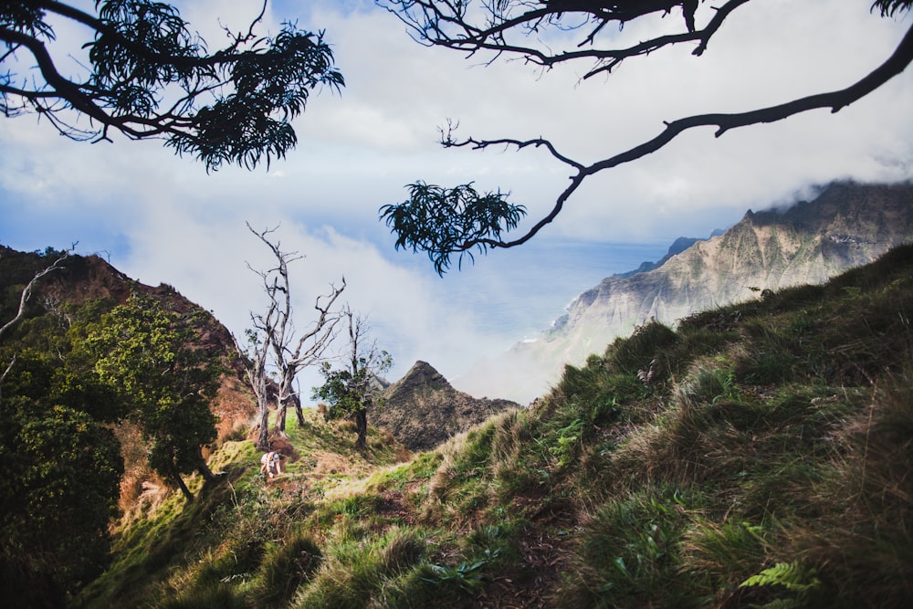 a man hiking up a hill with a mountain in the background