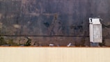 A large cargo truck parked at a loading dock under a clear sky.