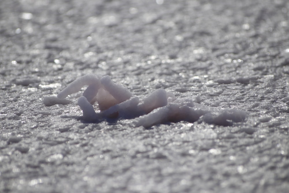 a piece of ice that is laying on the ground