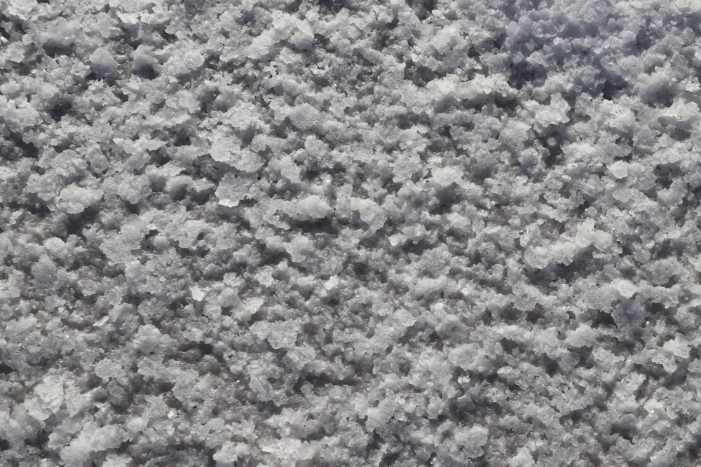 Una foto in bianco e nero della neve sul terreno