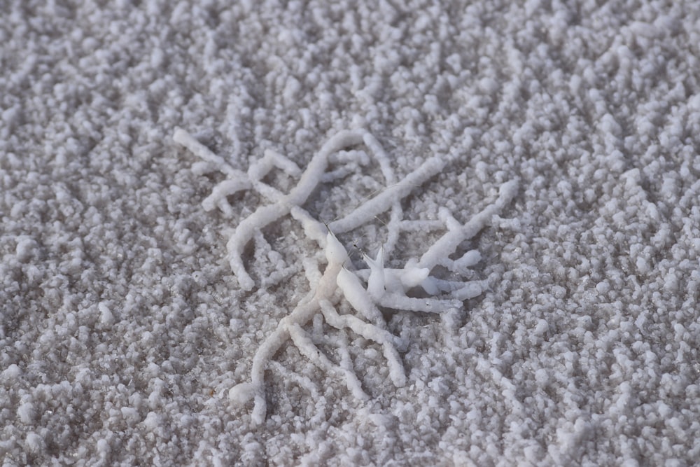 a close up of a snowflake on a carpet
