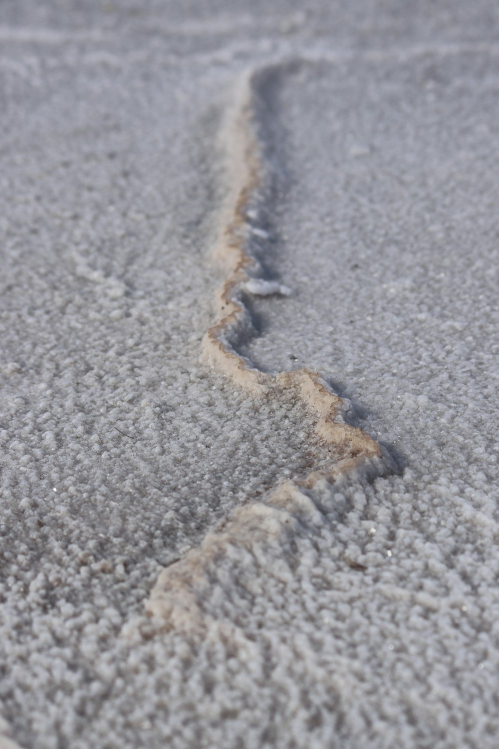 a close up of a bird's footprints in the sand