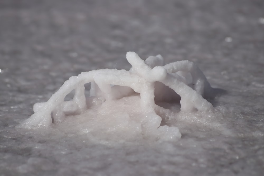 a close up of a car covered in snow