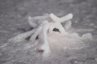 Clusters of white, crystalline salt formations create a delicate pattern on a smooth surface. The formations appear irregular and icy, glistening under the light.