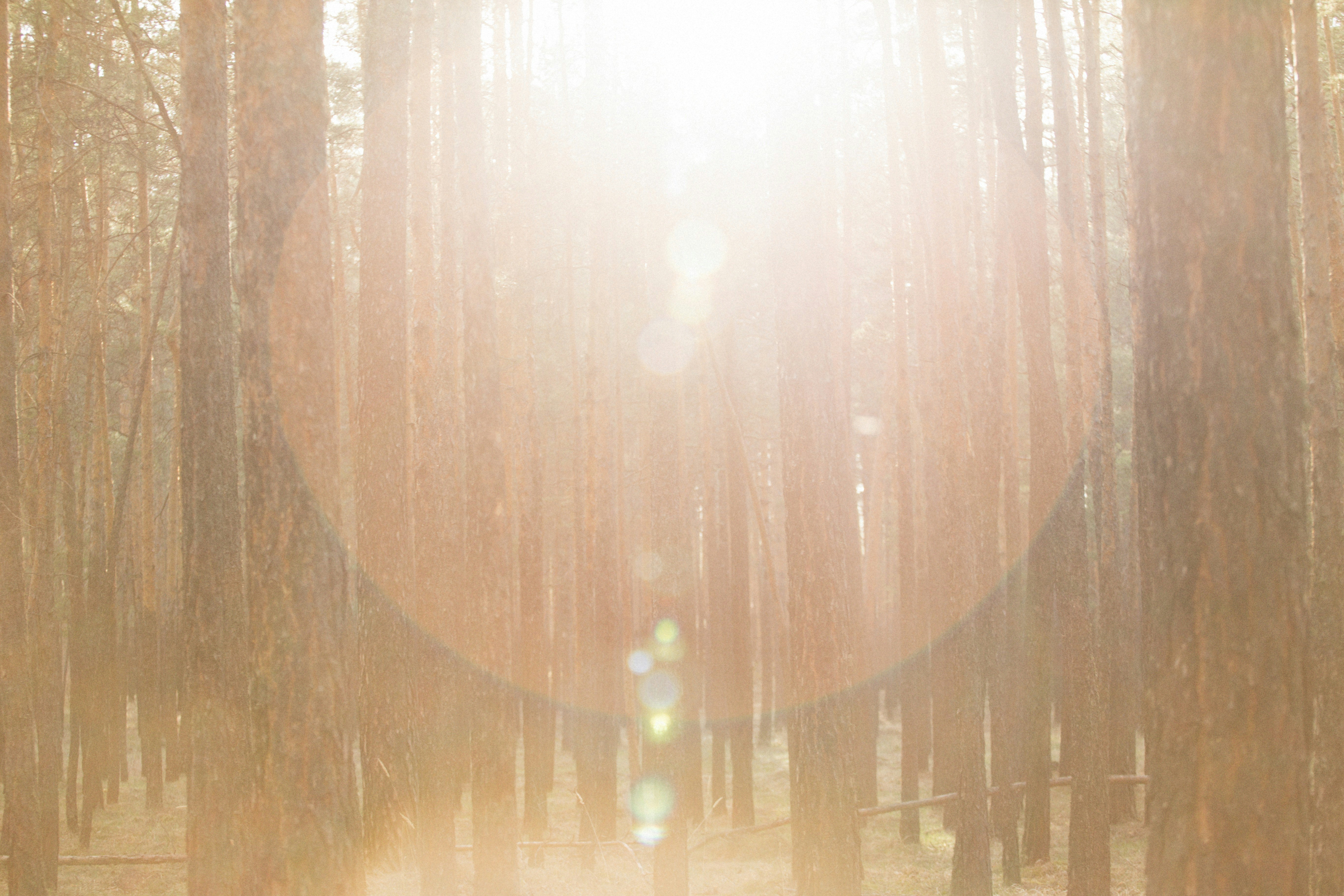 Photo by alexeydemidov