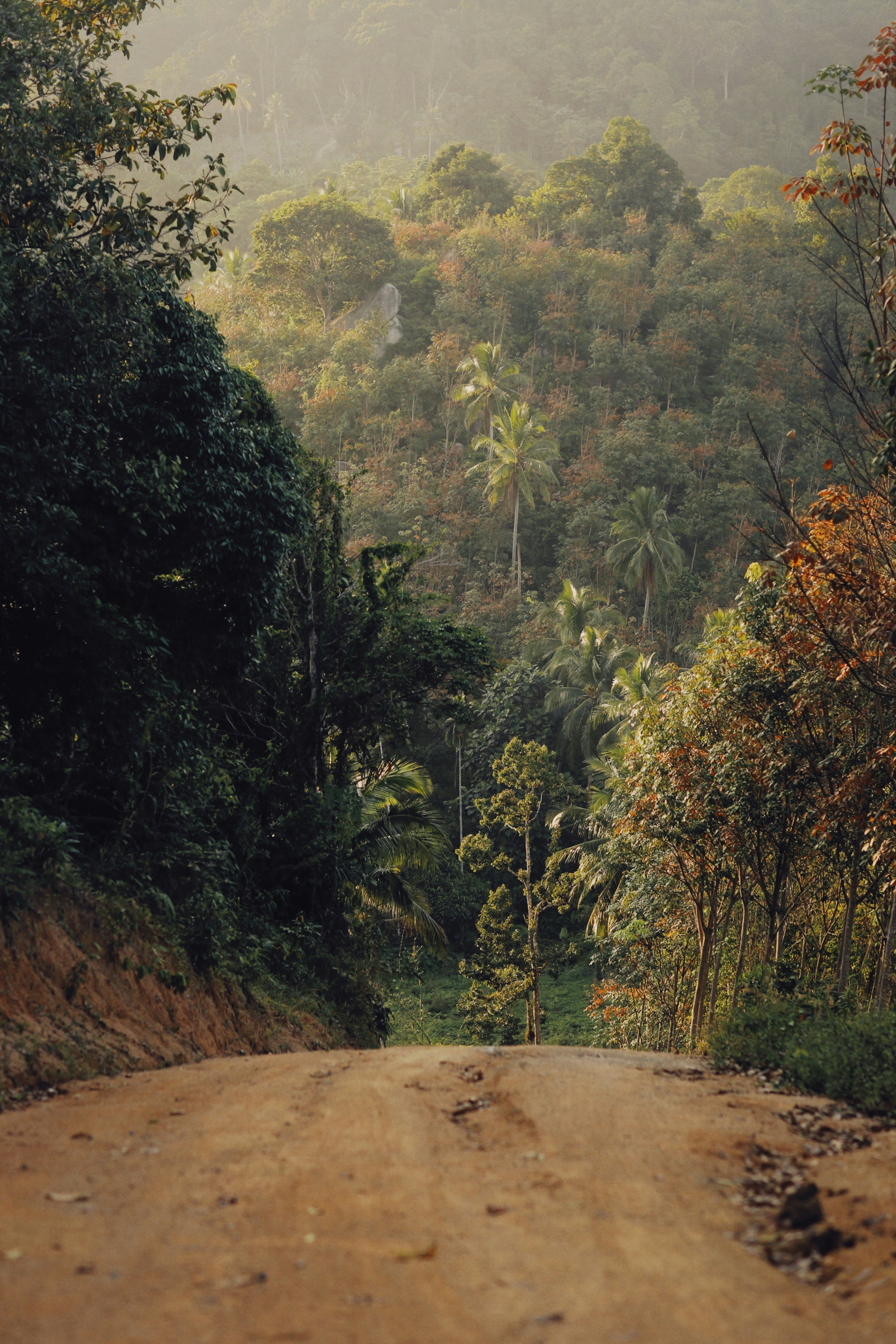 Photo by alexeydemidov