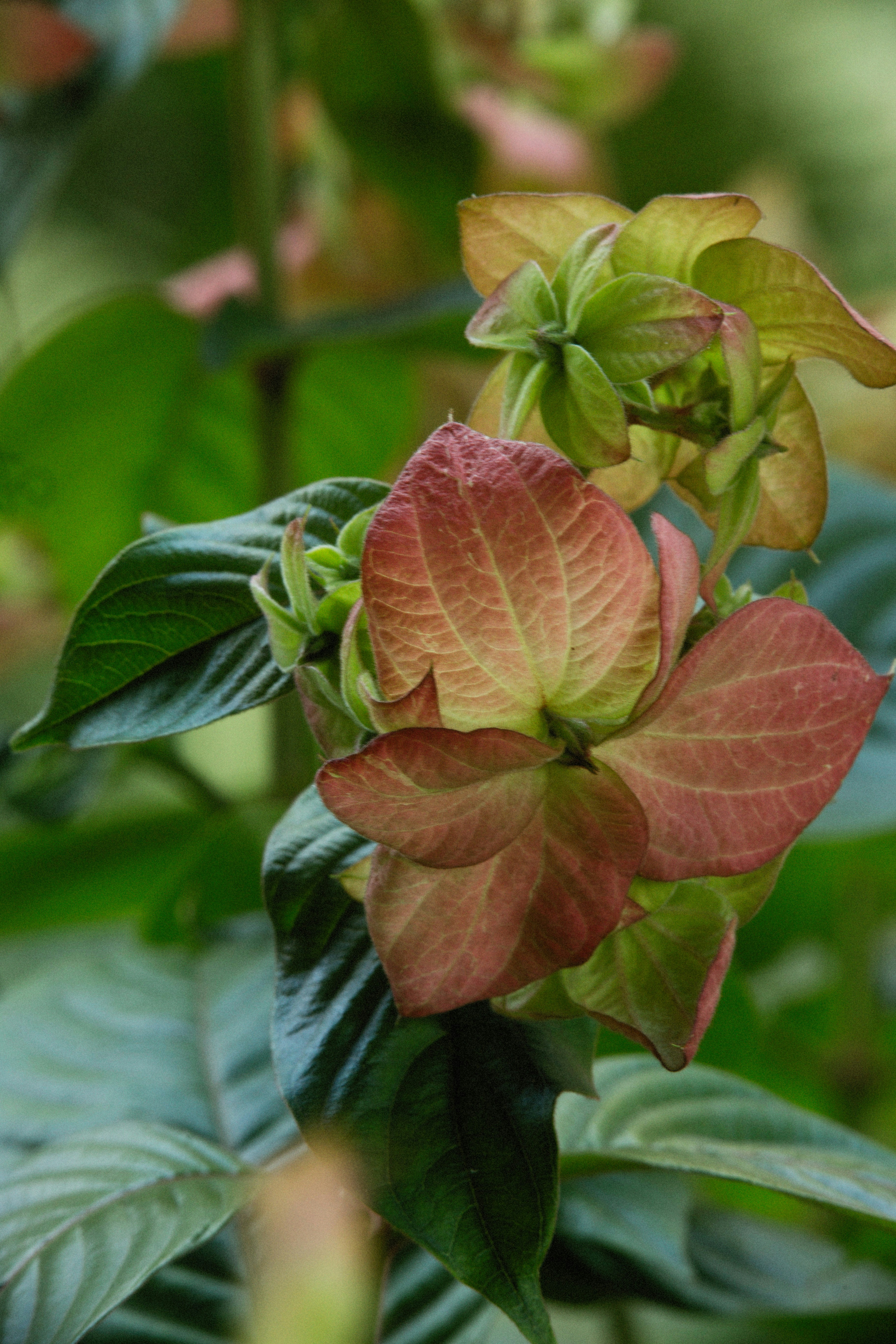 Photo by alexeydemidov