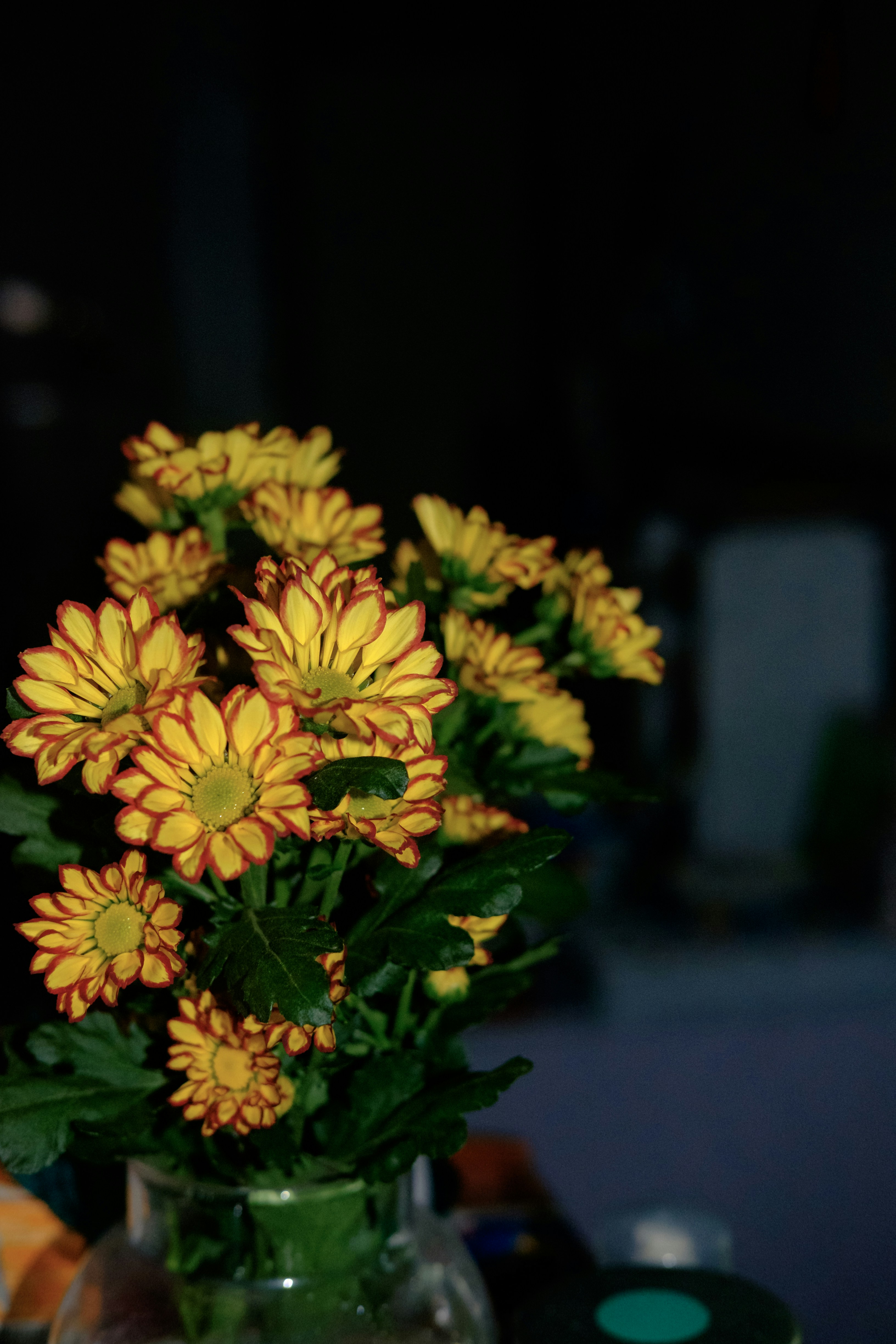 Photo by magabaka