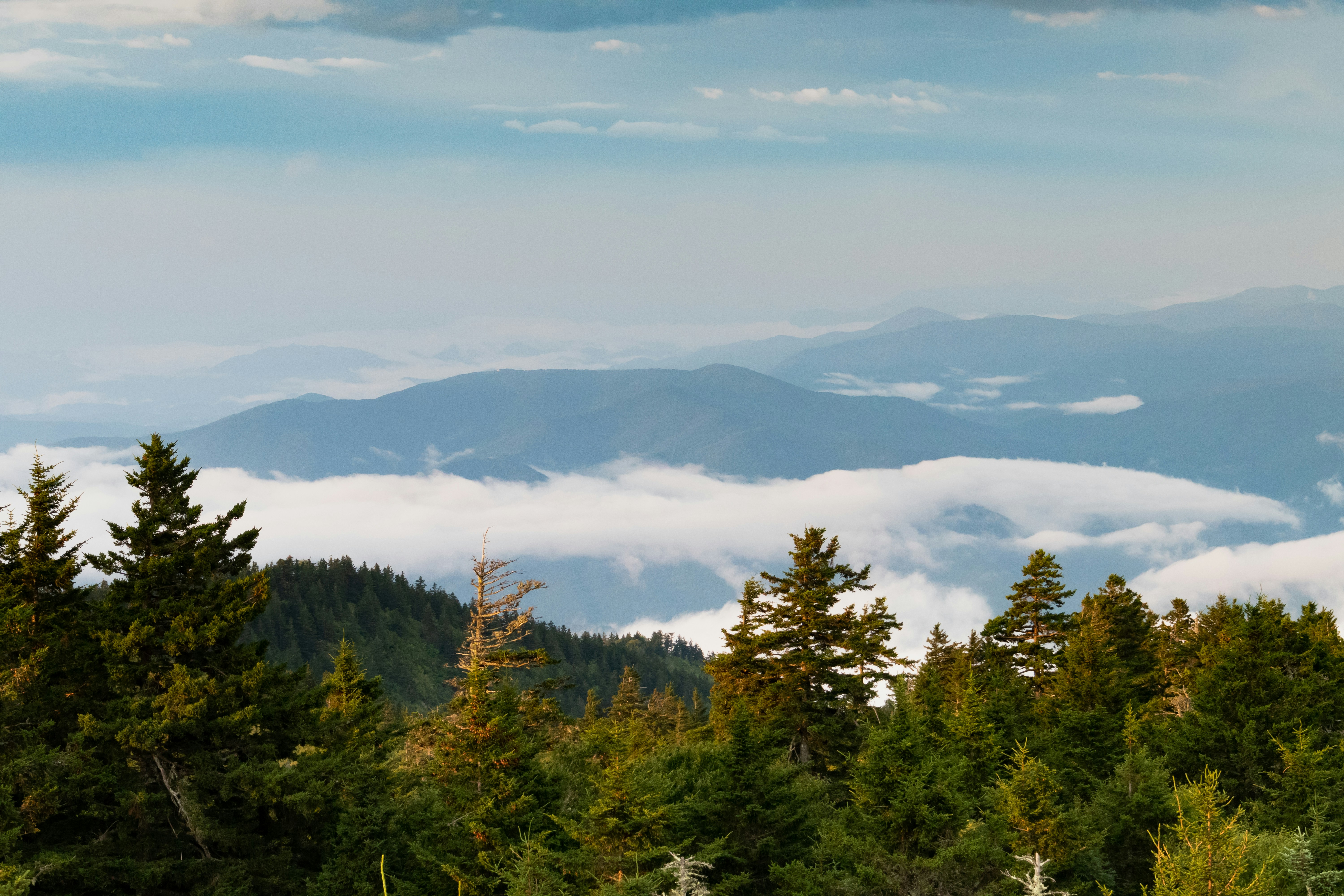 Photo by zacharyreimer