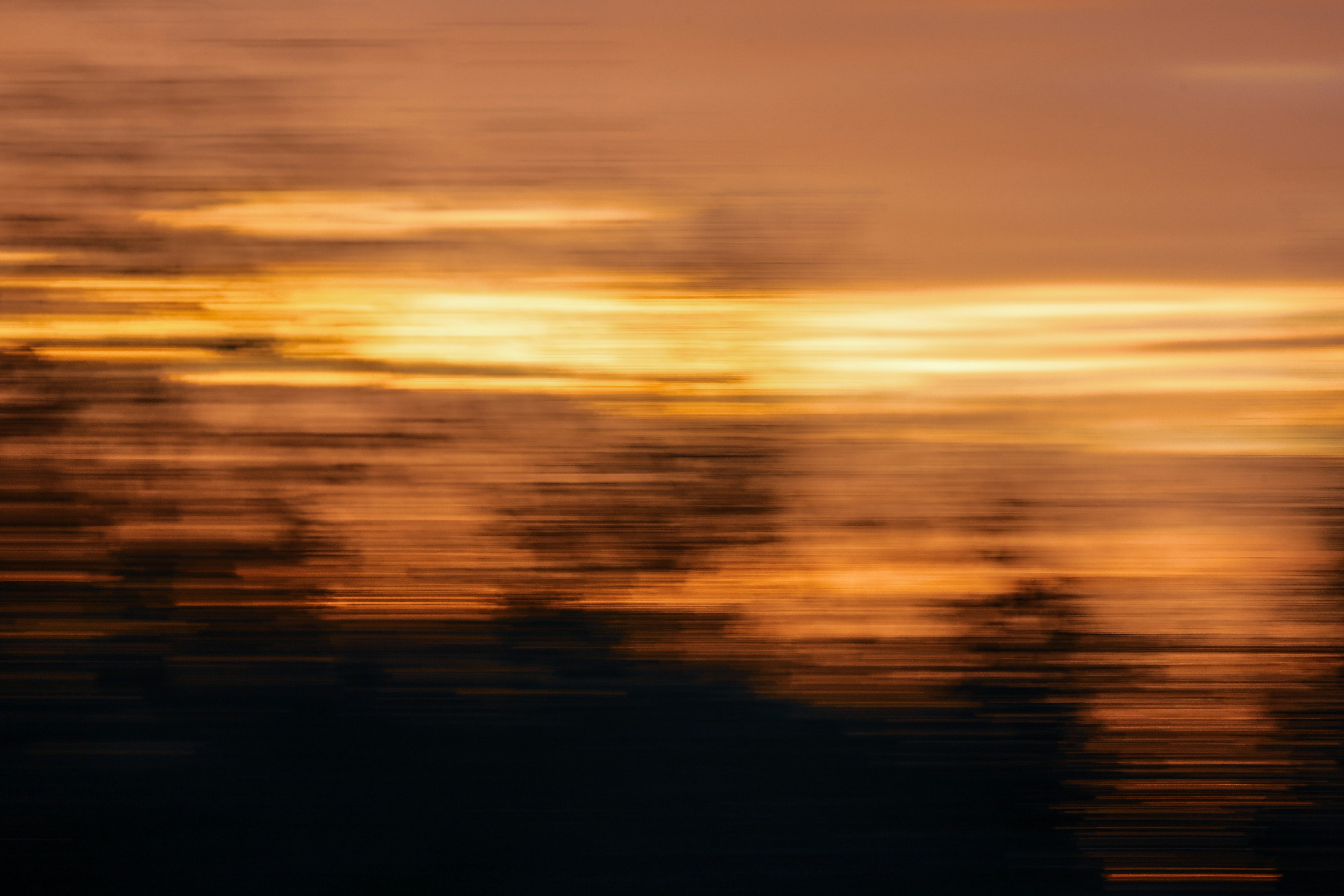 Photo by grievek1610begur