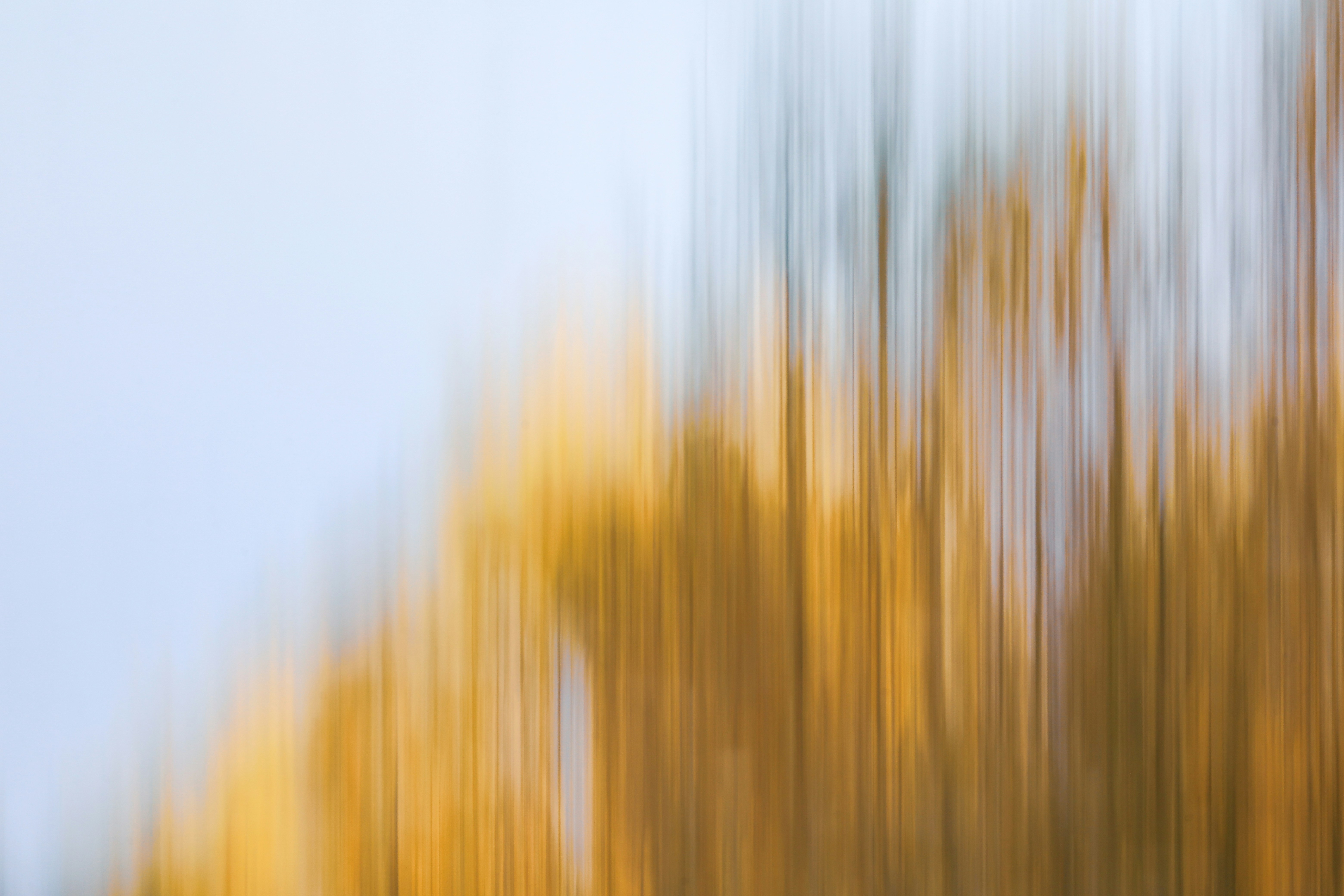 Photo by grievek1610begur