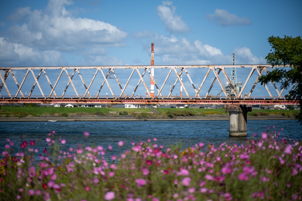 a bridge over a body of water with purple flowers in the foreground