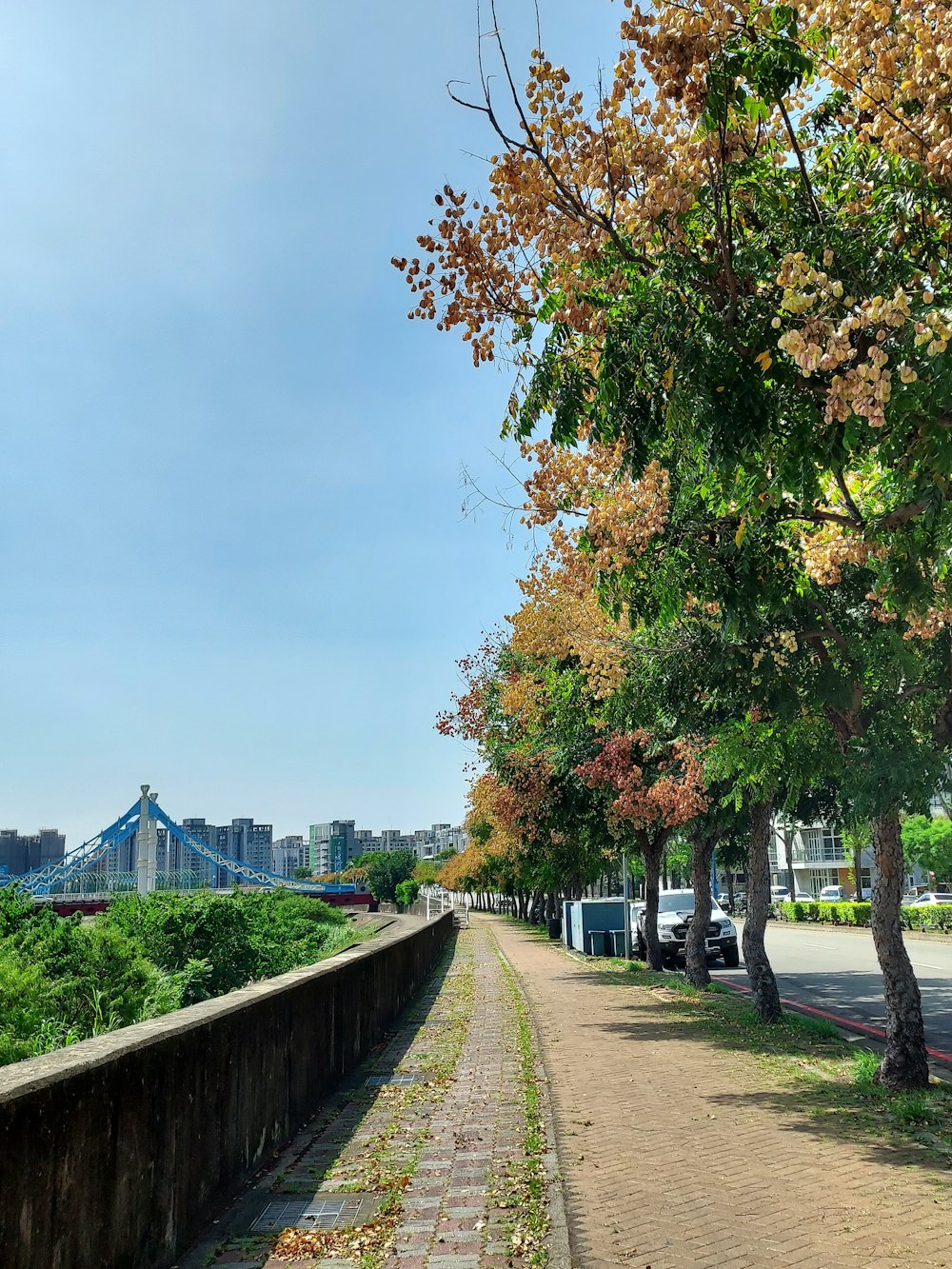 a tree lined sidewalk with a bridge in the background