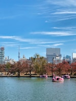 A scenic view of Lake Eola Park with swan boats and city skyline.