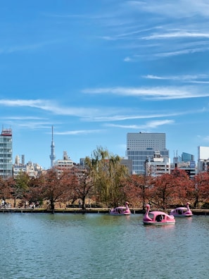 A scenic view of Lake Eola Park with swan boats and city skyline.