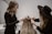 Two women are working on styling the hair of a third person whose back is facing the camera. One woman is using a tool, possibly to attach hair extensions or accessories, and the other is assisting. The setting appears to be a salon with neutral, calming colors.