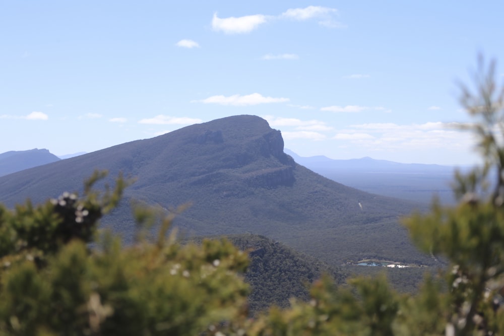 a view of a mountain range with trees in the foreground