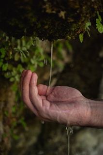 a person's hand holding water dripping from a faucet