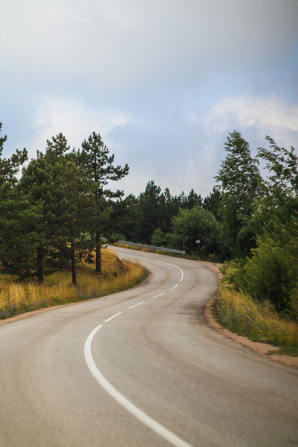 Una strada curva con alberi su entrambi i lati