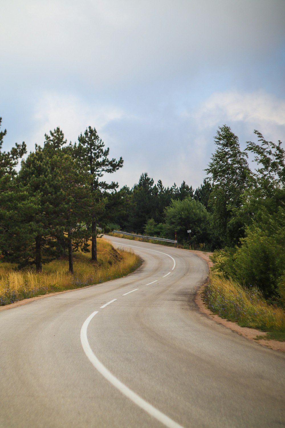 a curved road with trees on both sides