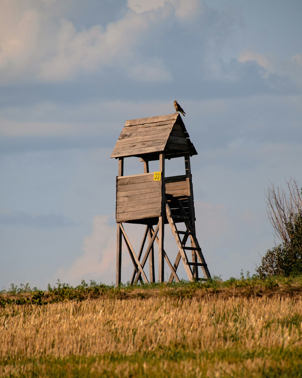 uma torre de madeira alta sentada no topo de um campo verde exuberante
