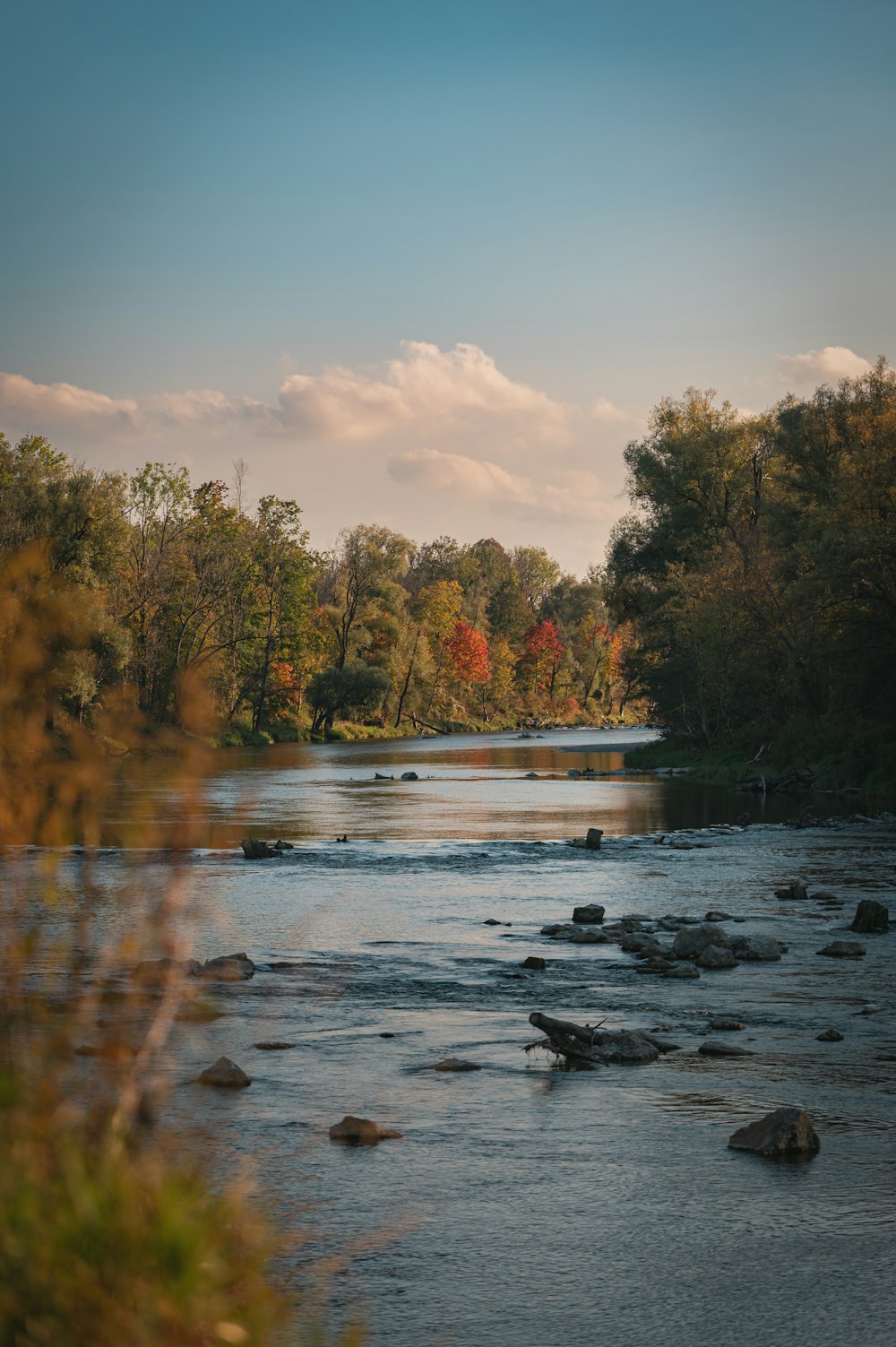 a body of water surrounded by trees and rocks