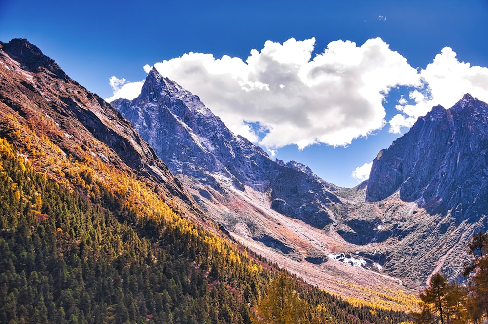 a scenic view of a mountain range with trees in the foreground