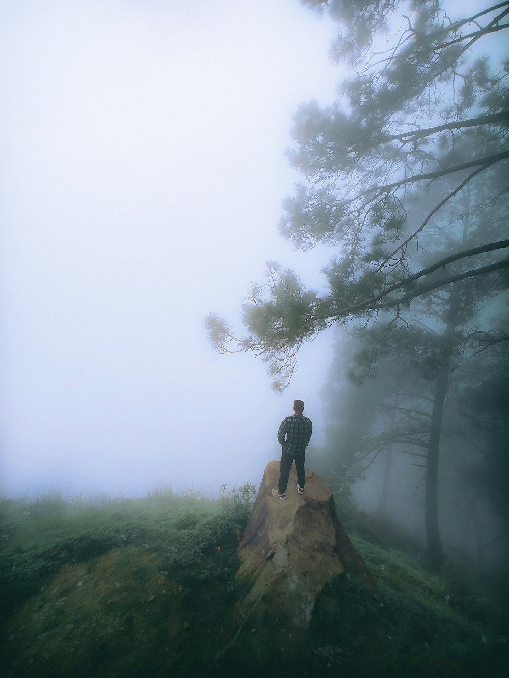 a man standing on a tree stump in a foggy forest