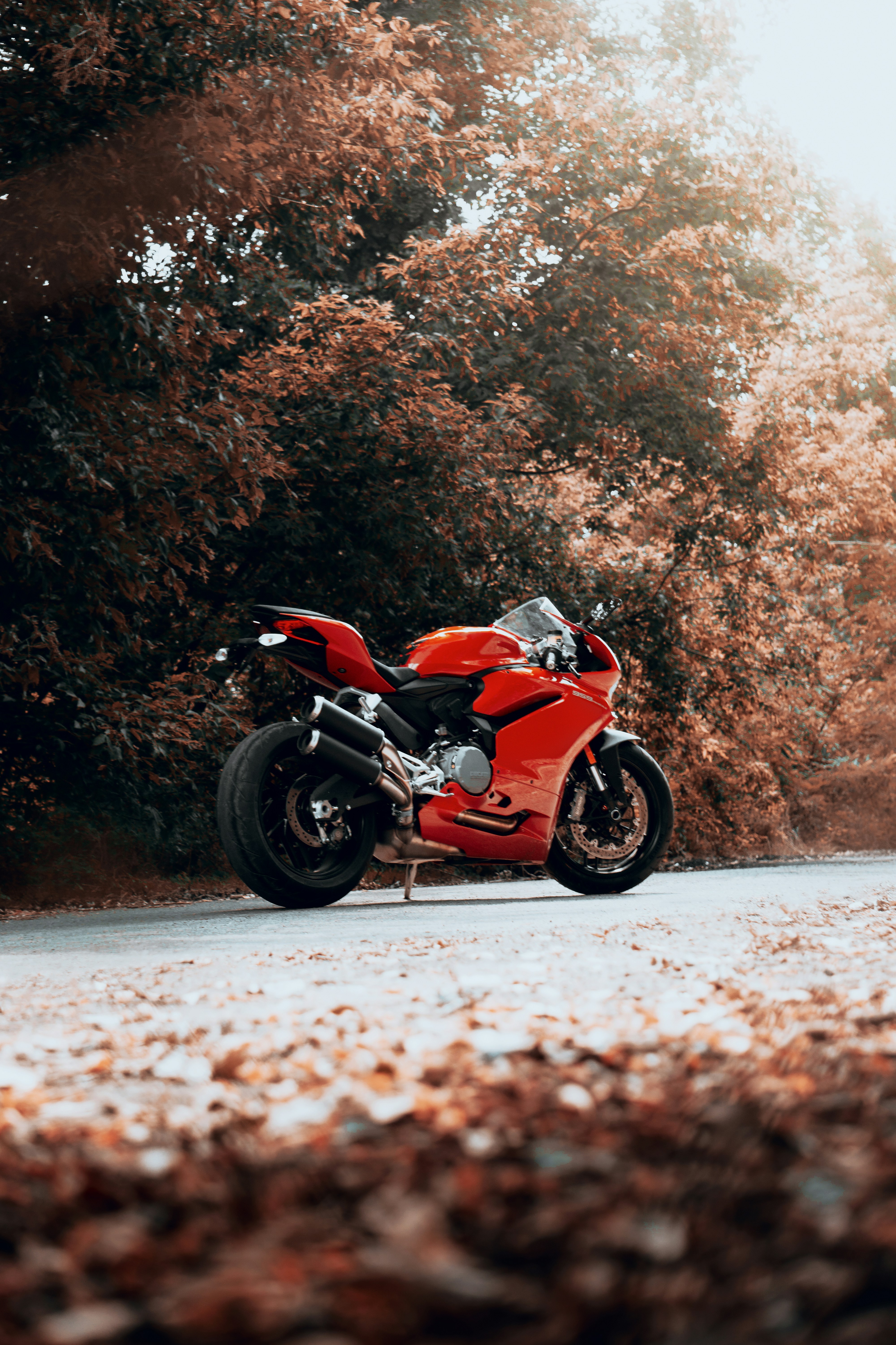 Photo by eugene_tkachenko