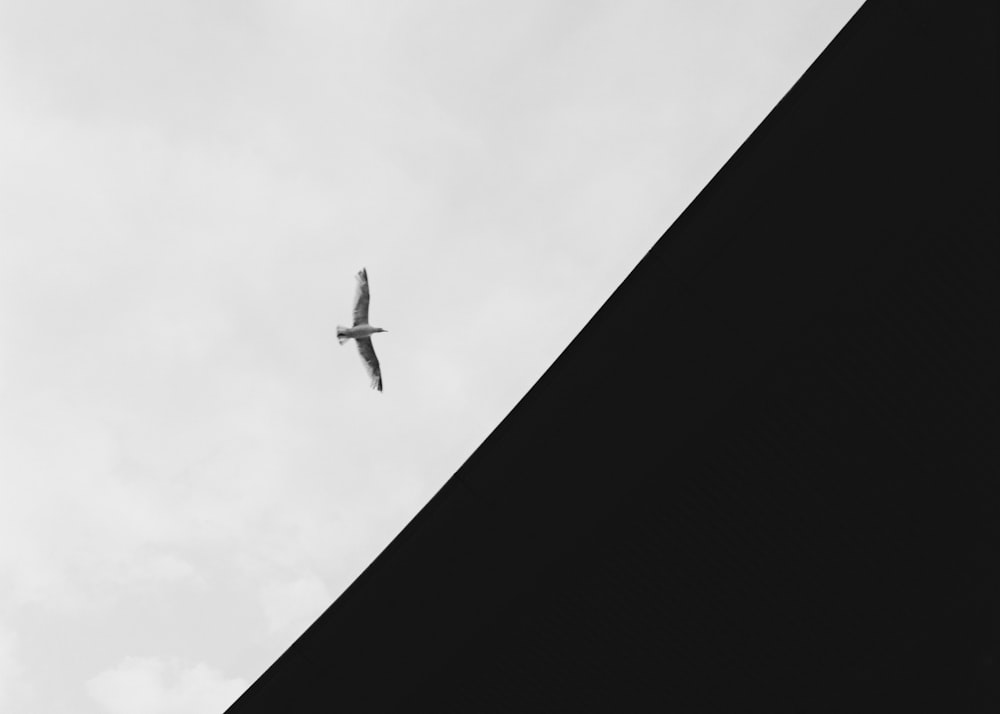 a black and white photo of a plane flying in the sky