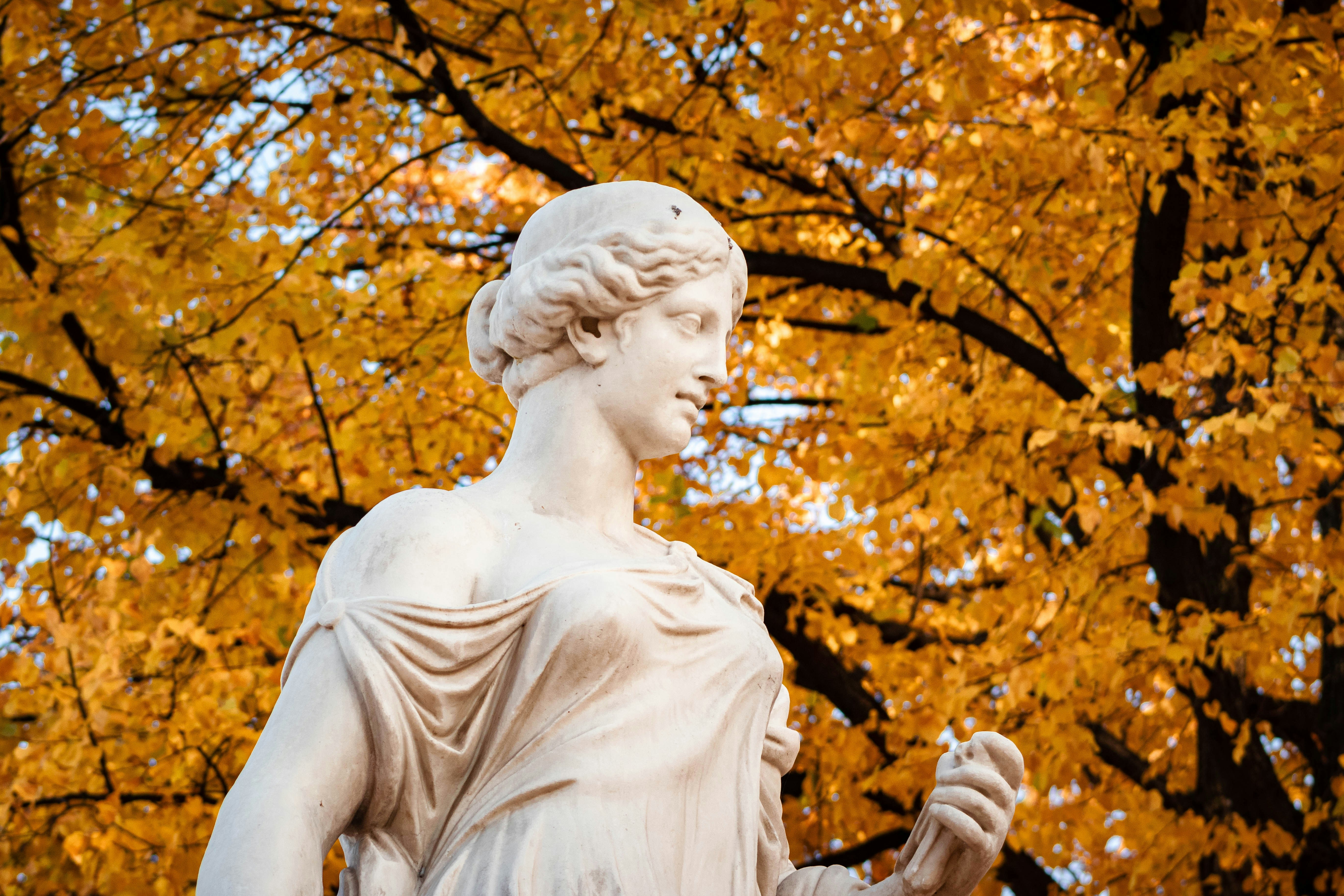 Photo by alpridephoto