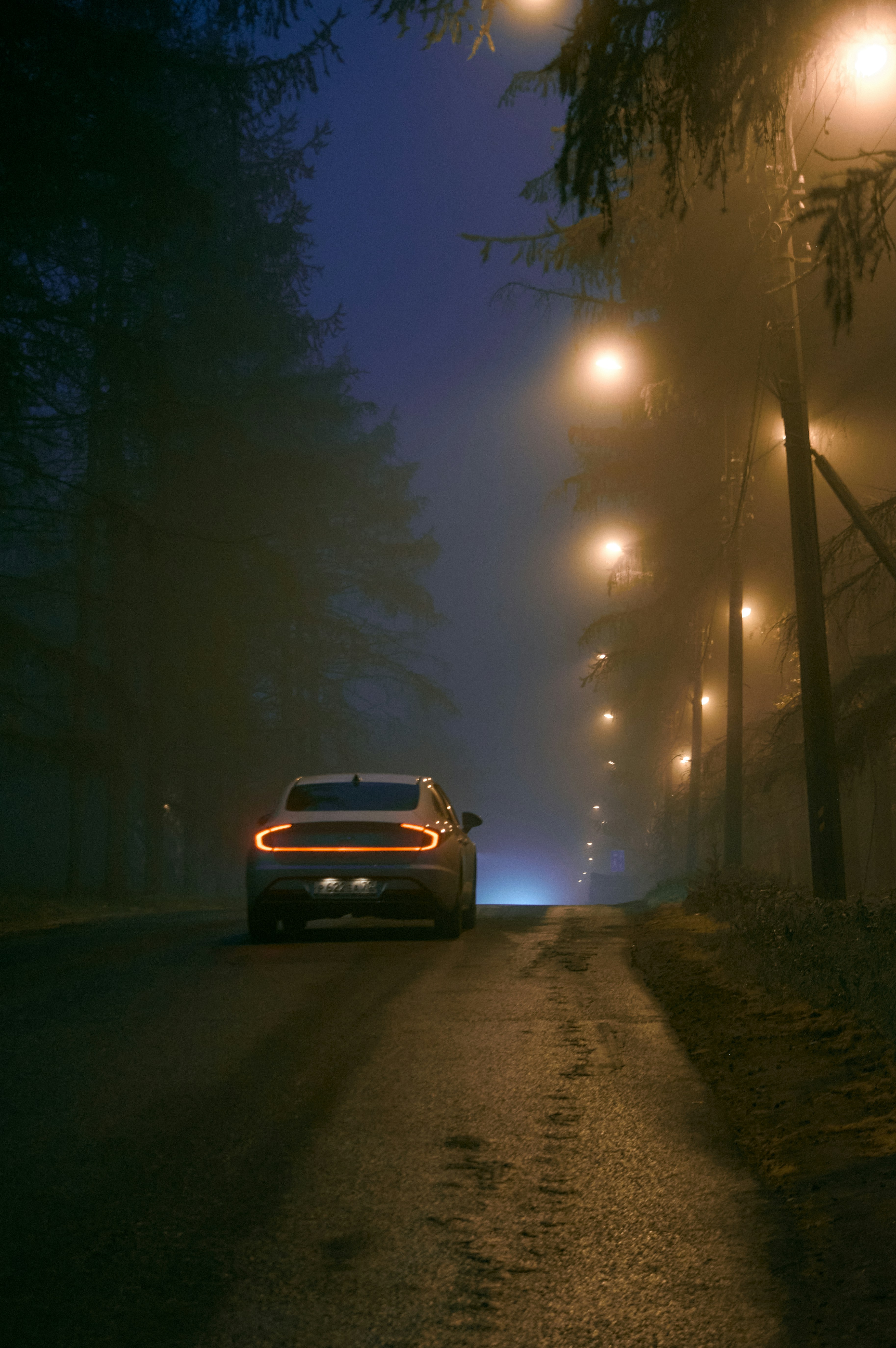 blog illustration, ilustrasi artikel Elevate Your Screen: The Allure of Foggy Forest & Moody Car Wallpapers 7