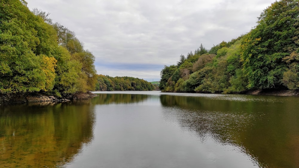 a body of water surrounded by trees