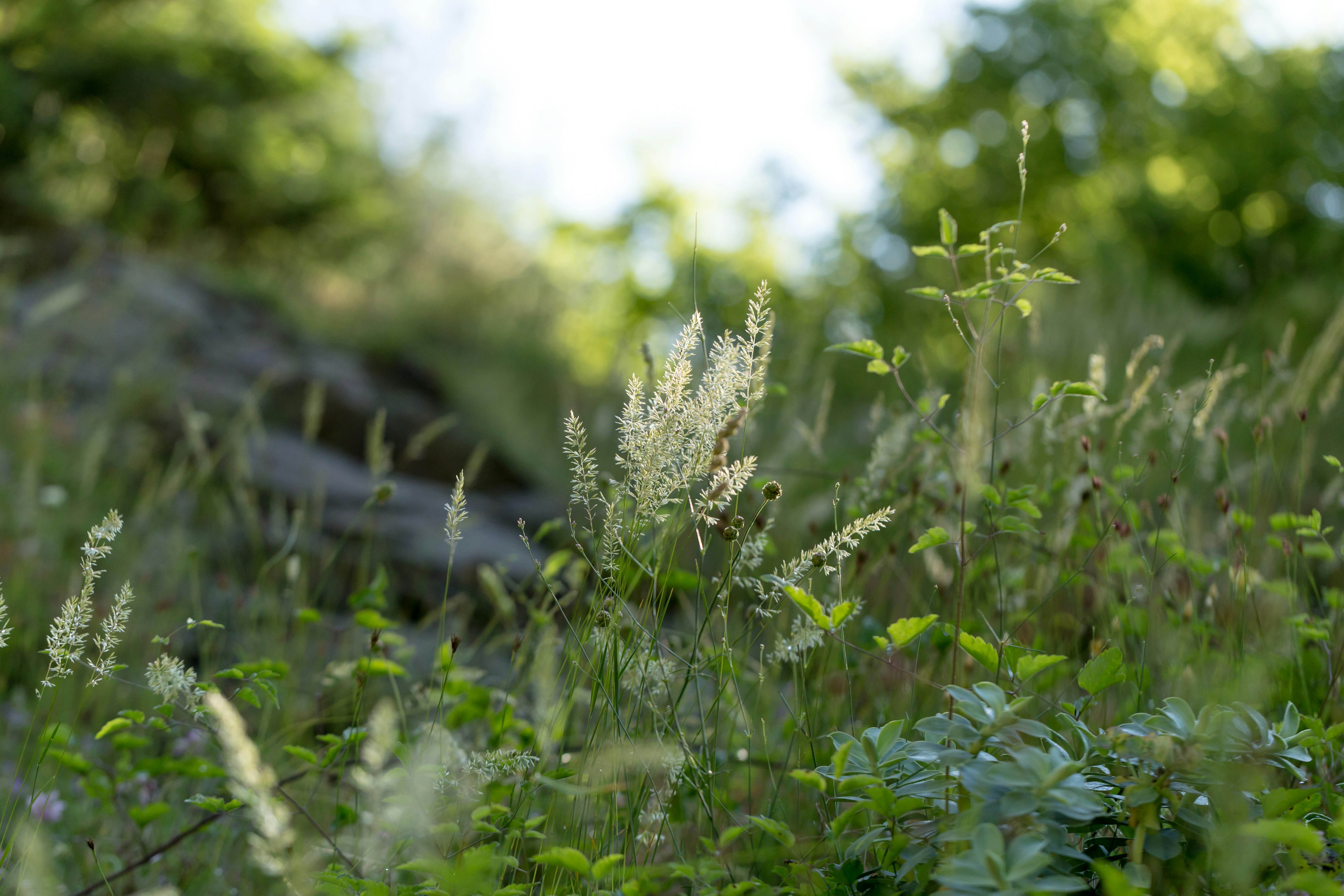 Photo by blooddrainer