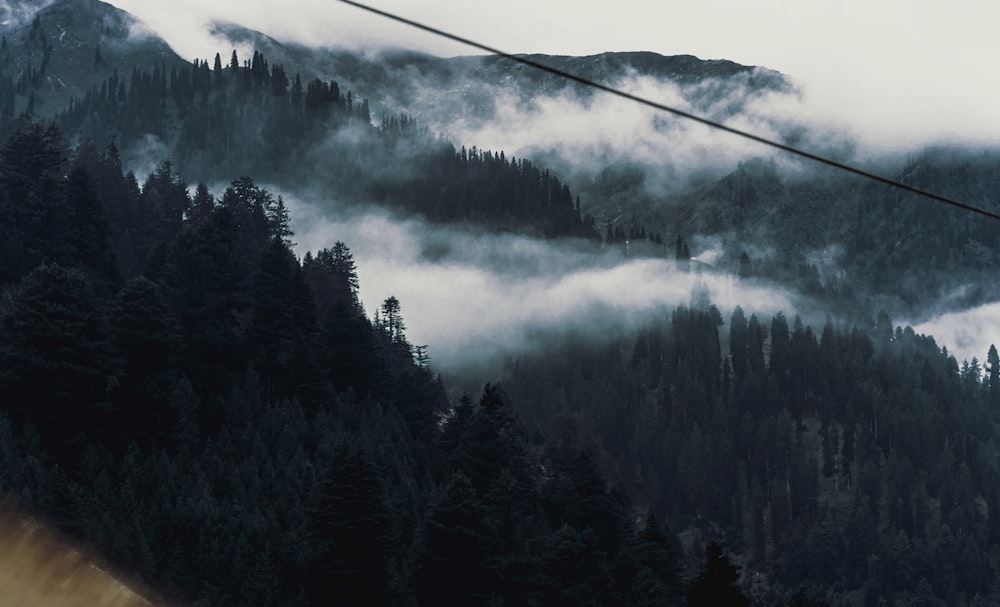 ein Skilift, der einen nebelverhangenen Berg hinauffährt