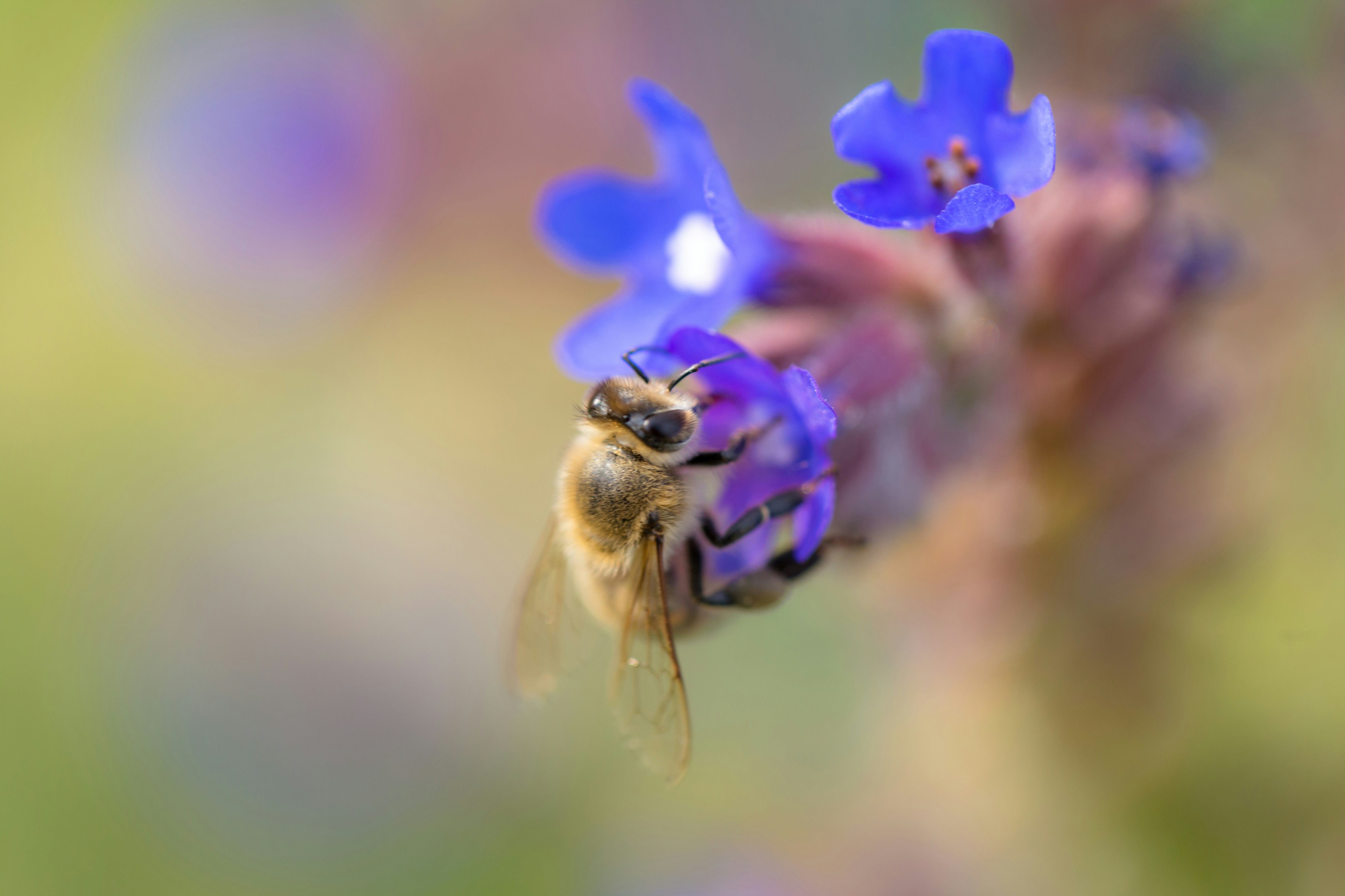 Photo by blooddrainer