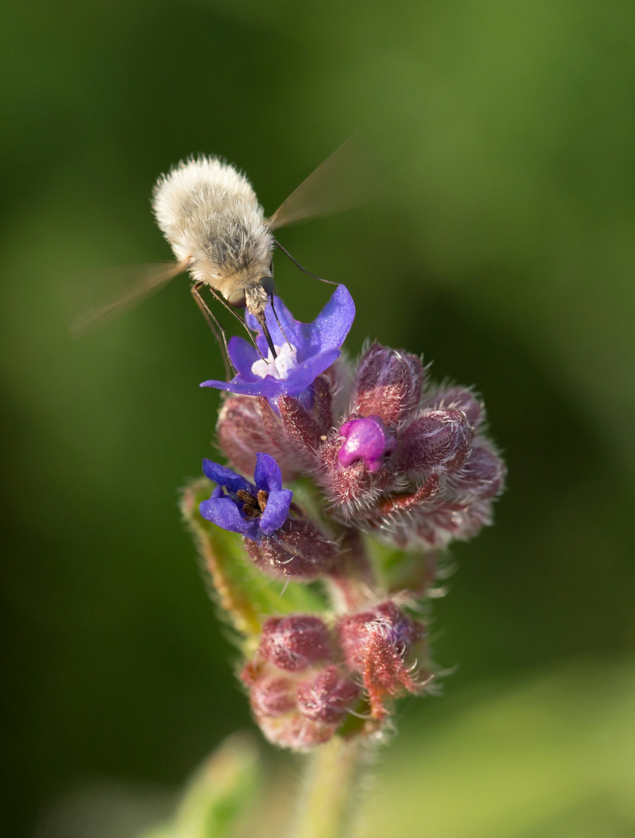 Photo by blooddrainer