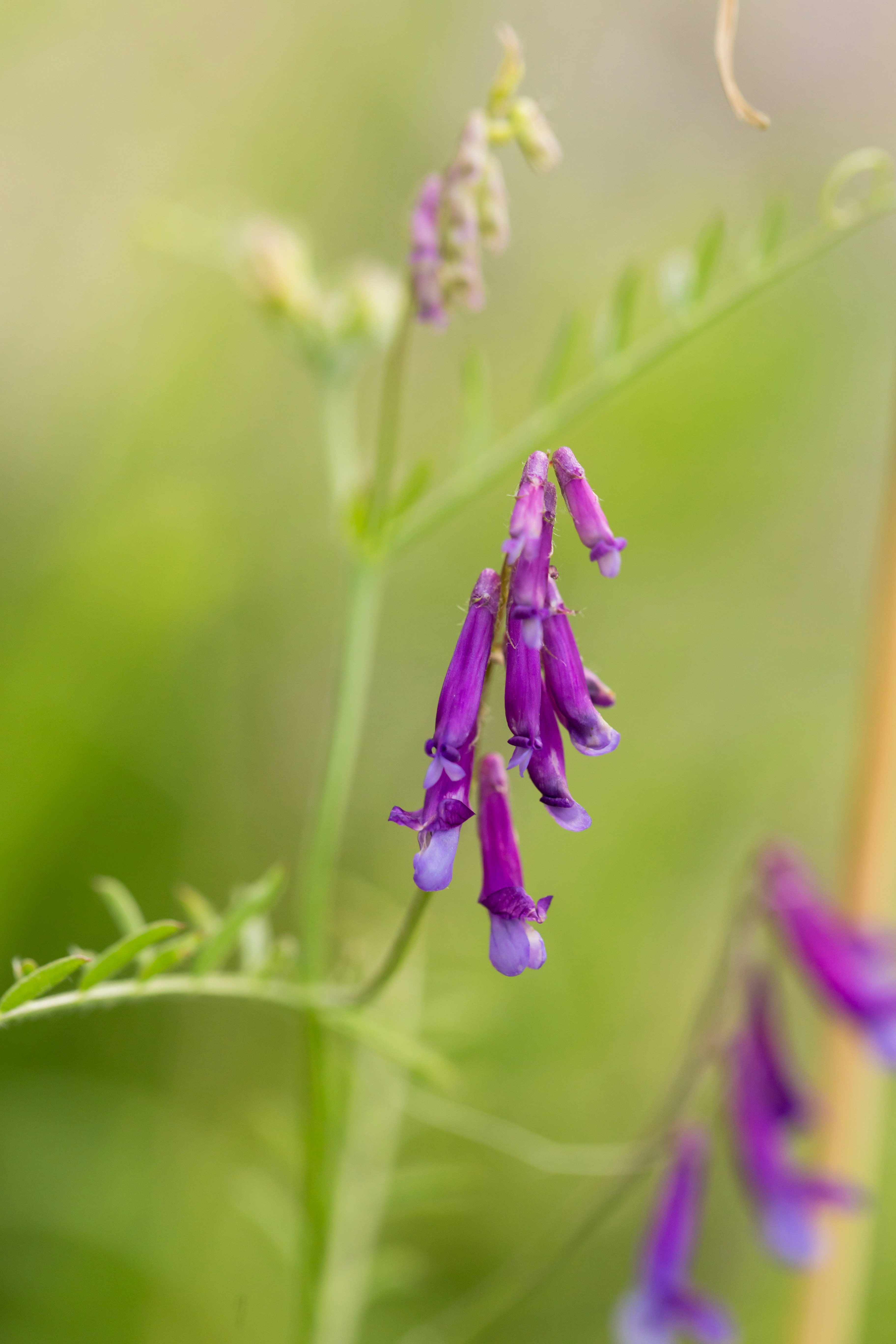 Photo by blooddrainer