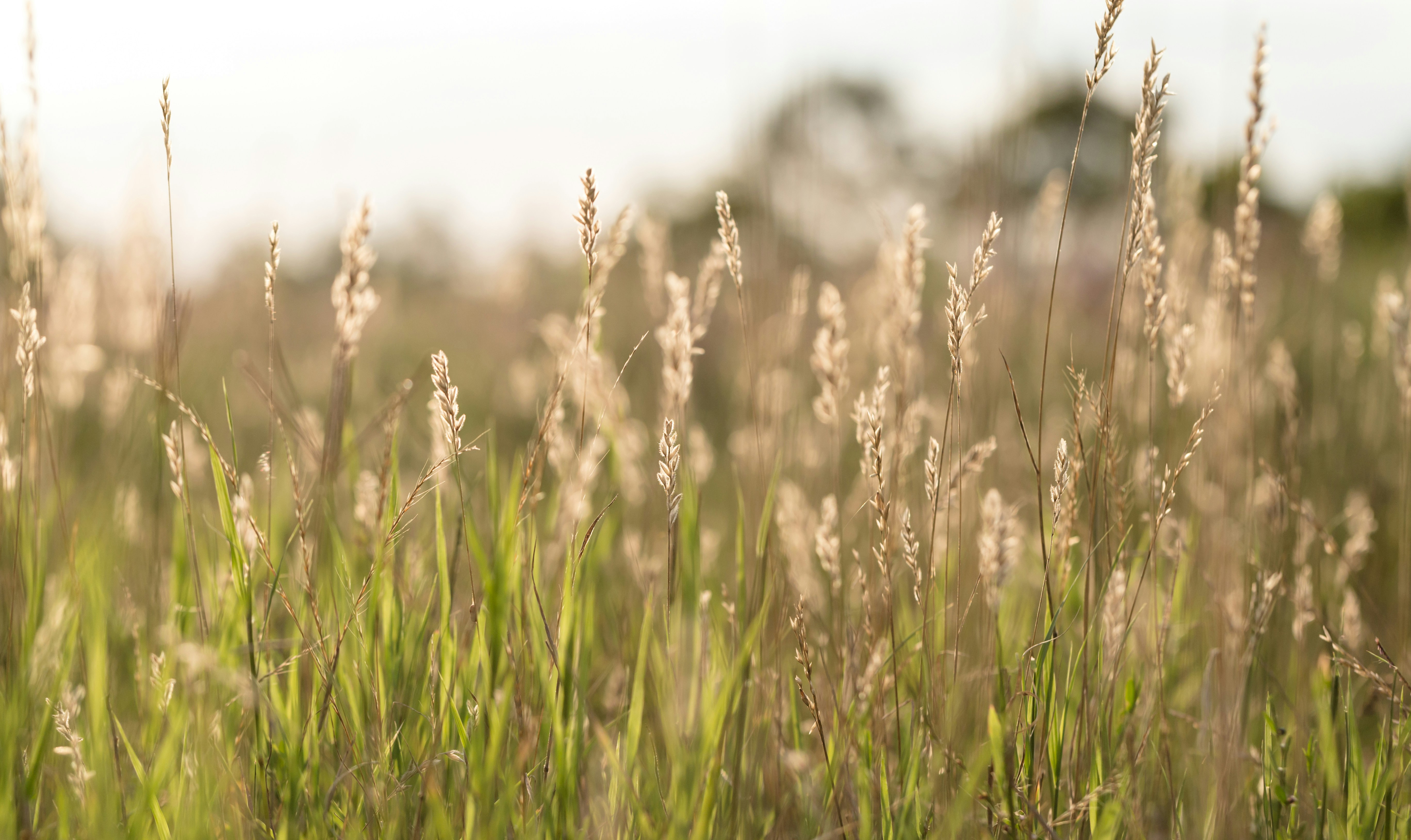 Photo by blooddrainer