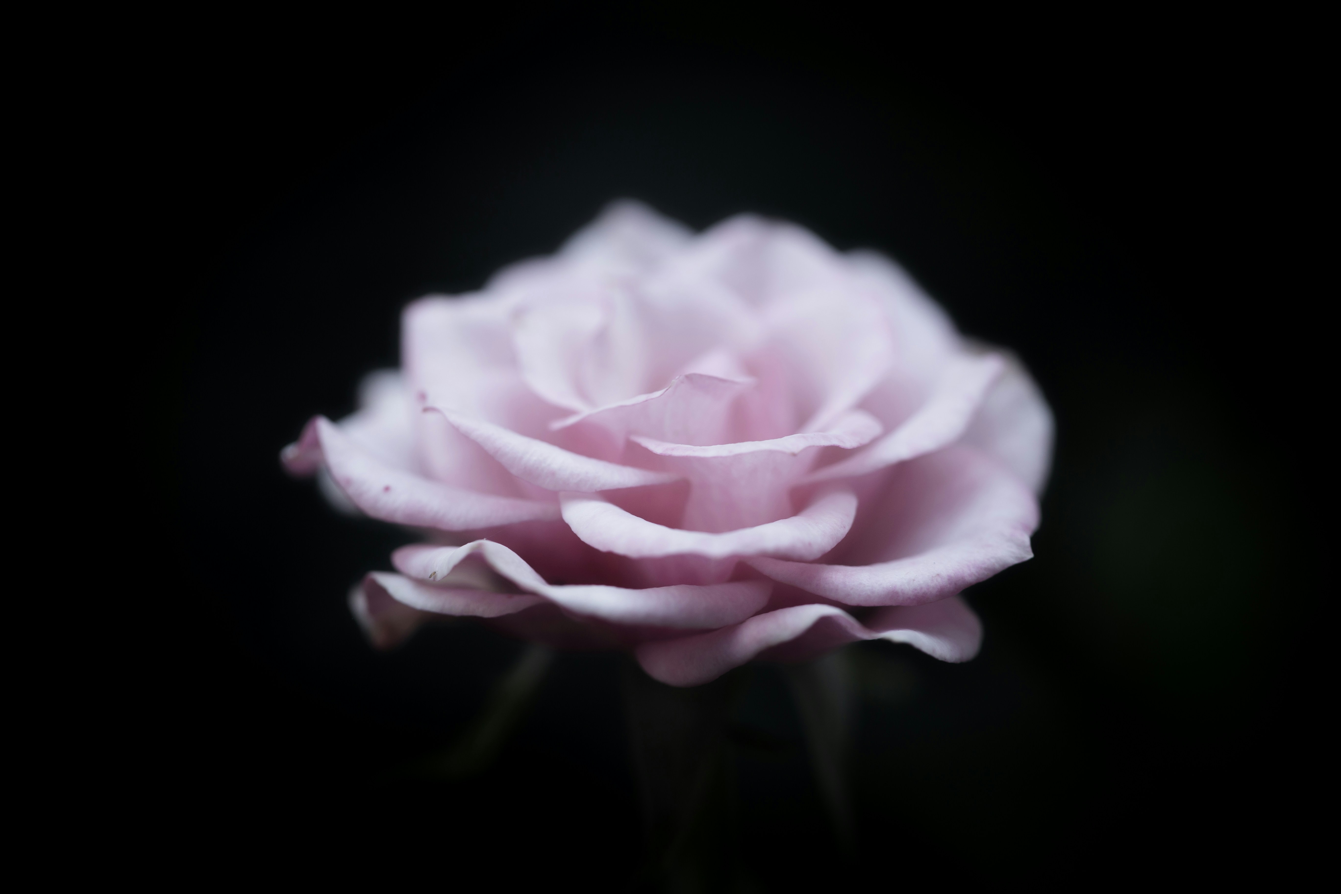 Photo by blooddrainer