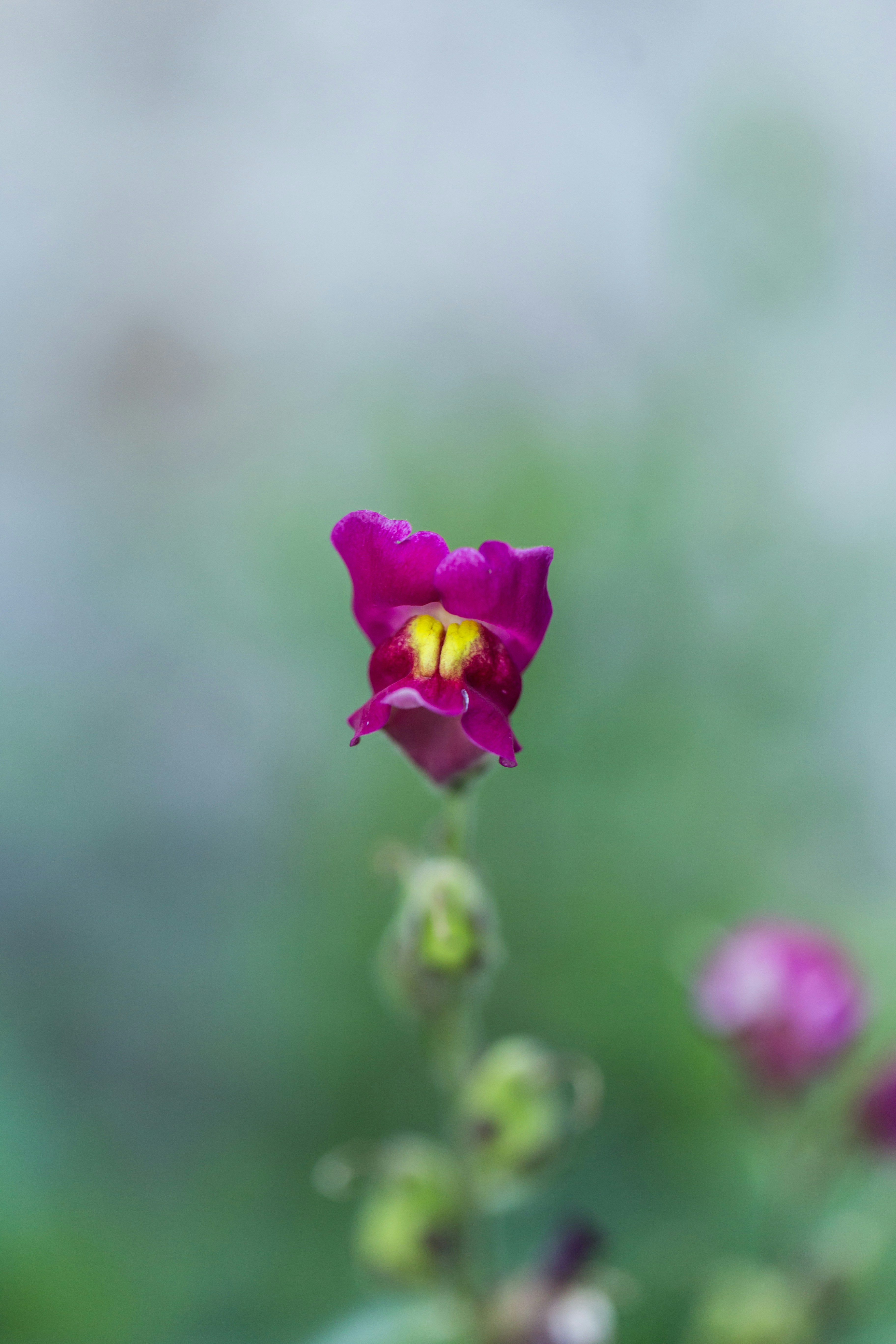 Photo by blooddrainer