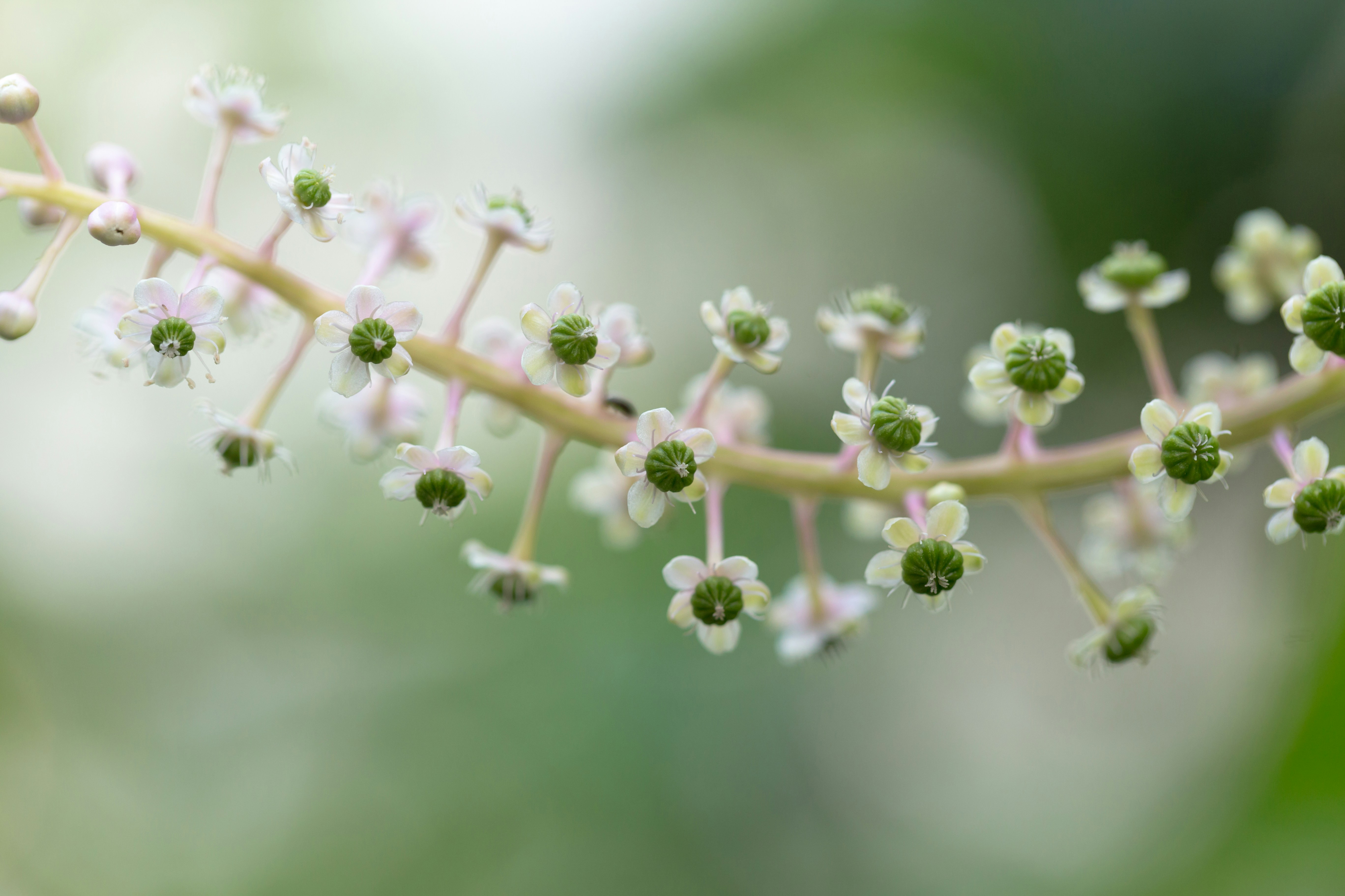 Photo by blooddrainer