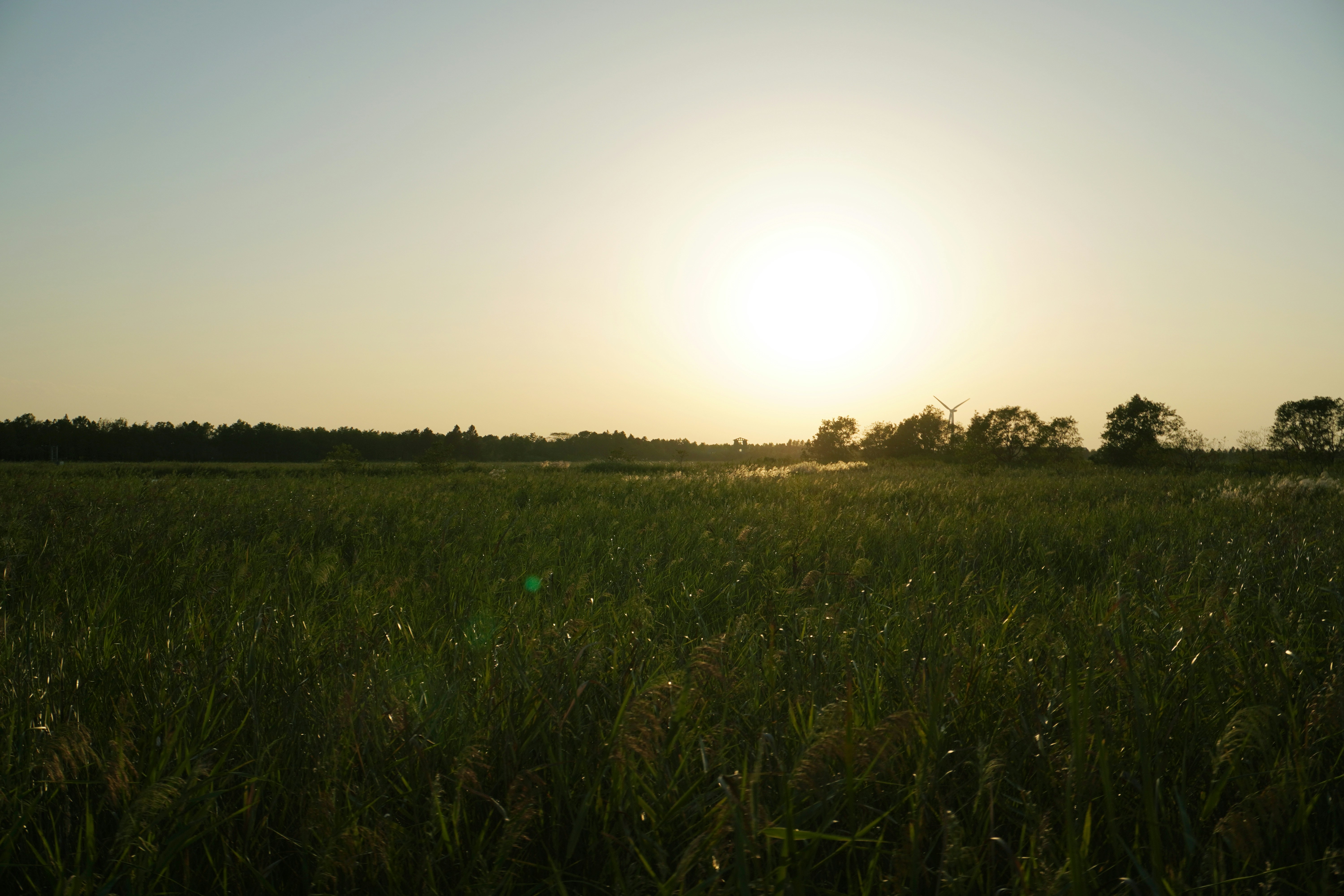 Photo by sakamotomari