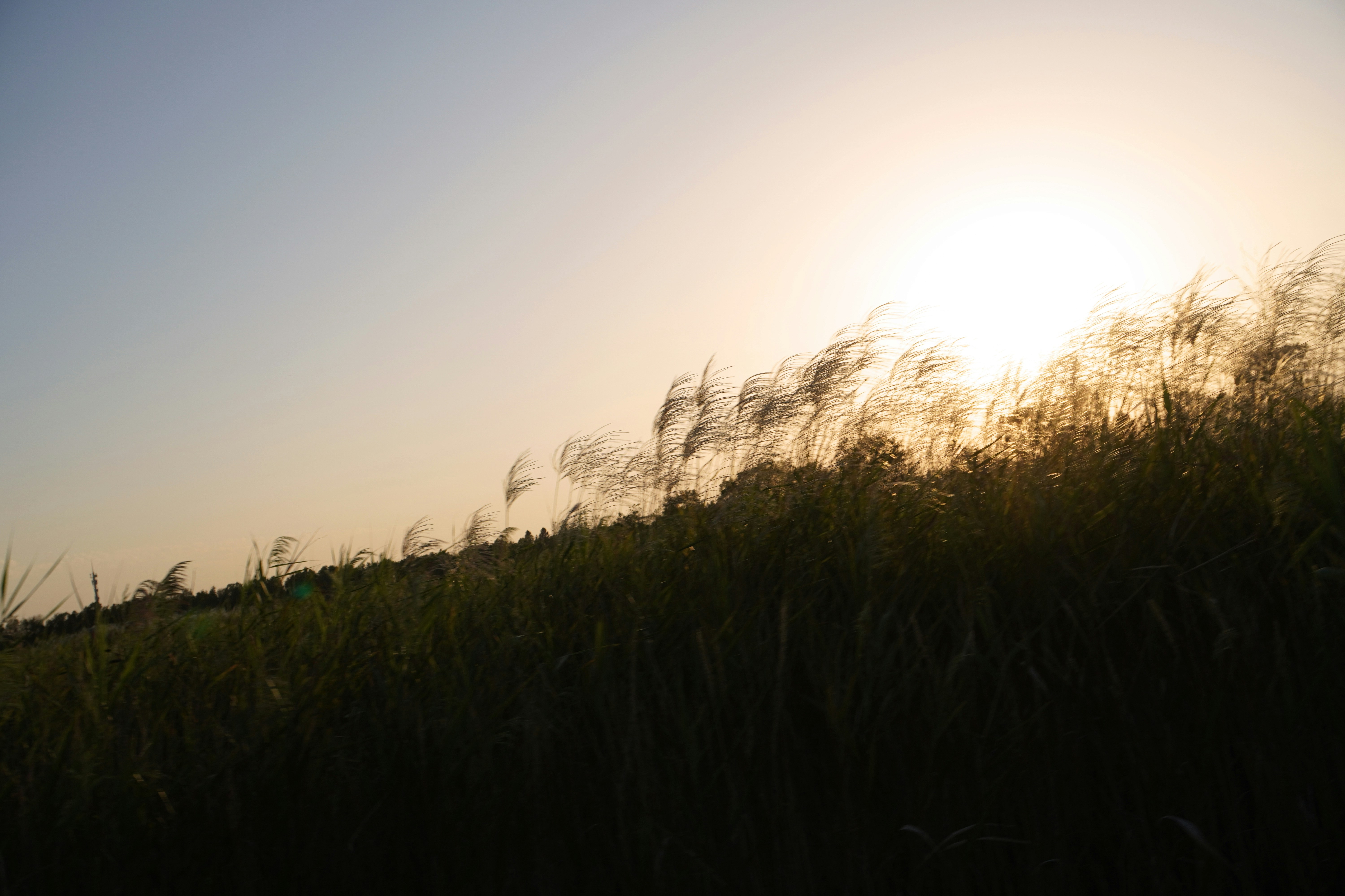 Photo by sakamotomari