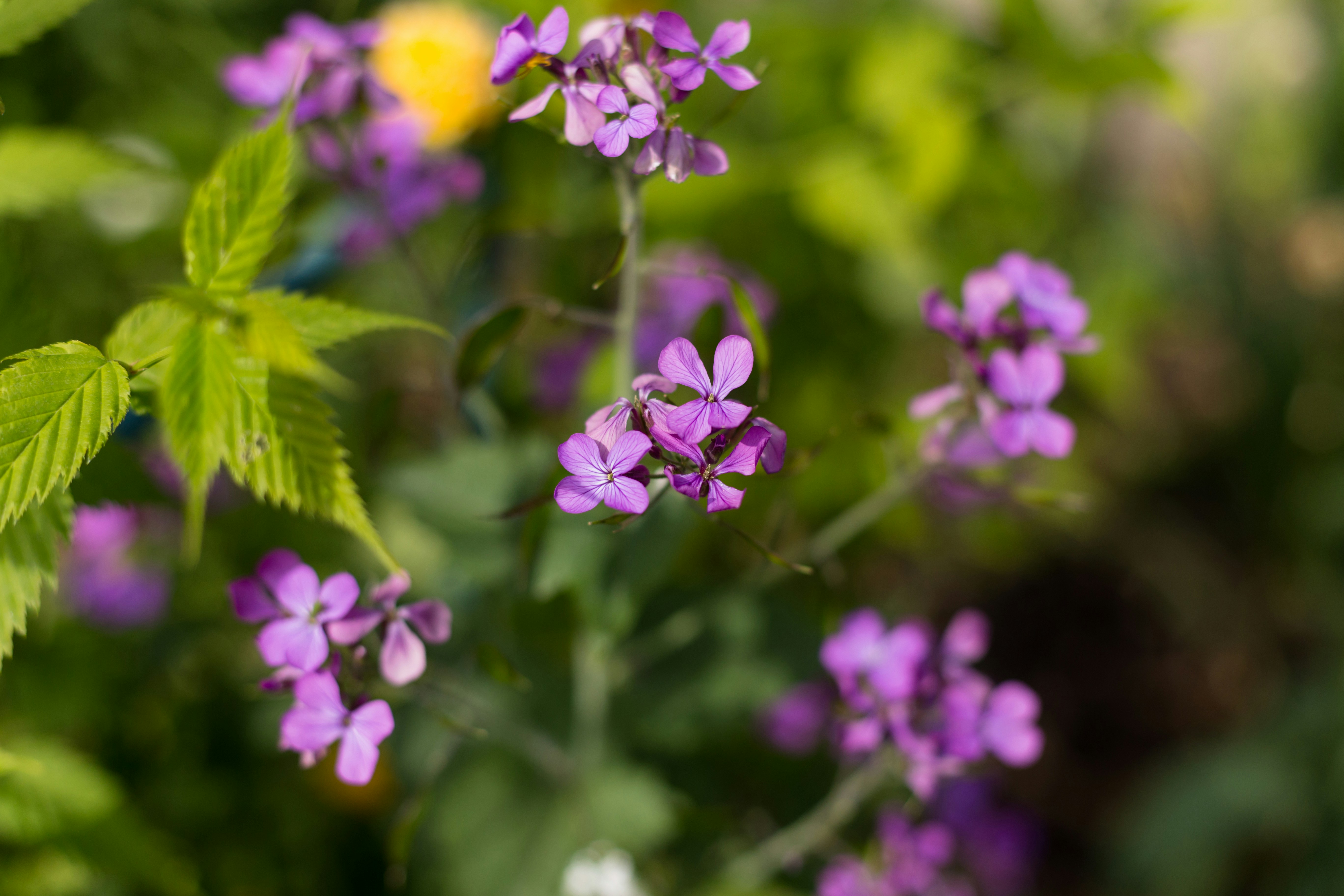 Photo by blooddrainer