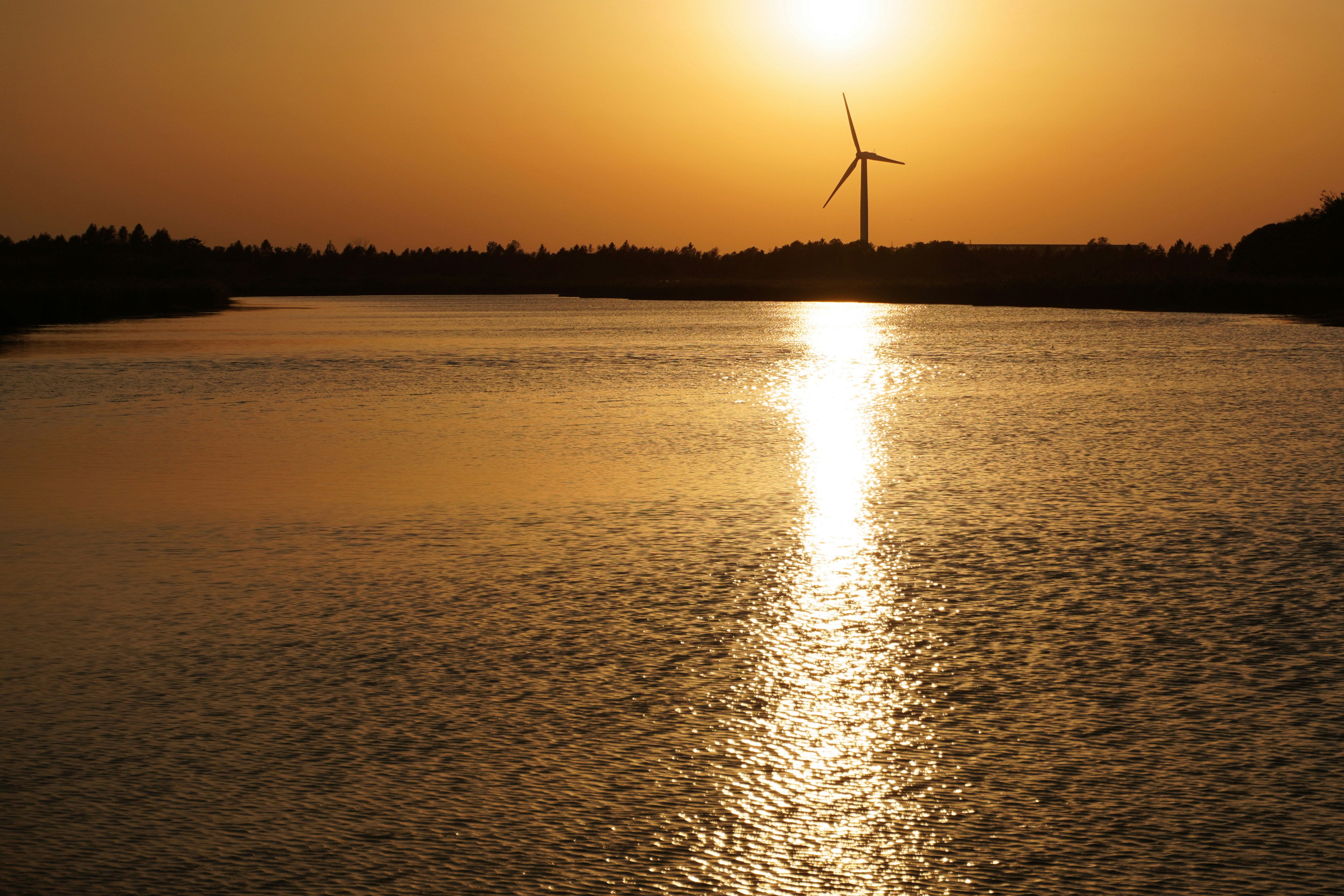 Photo by sakamotomari